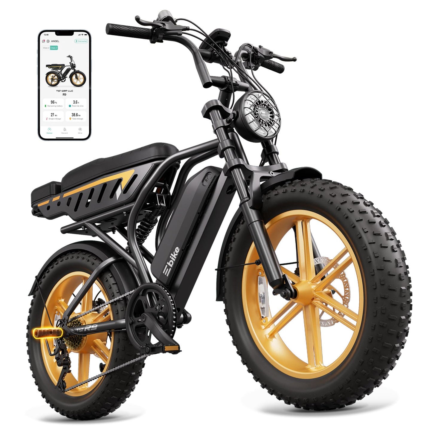 TST Electric Bike for Adults, 1500W Peak Motor 60 Miles Fat Tire E Bike with 48V 15Ah Removable Battery 20" Electric Bike with Dual Suspension, R9