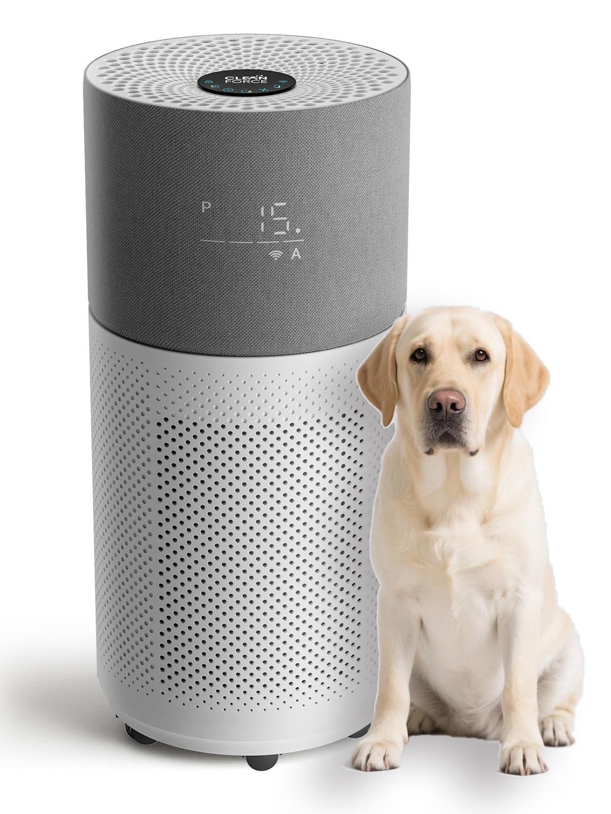 CleanForce Rainbow Air Purifier for Large Room up to 2250 ft², Advanced True HEPA & Carbon Filter, Reduces Dust, Pollen, Smoke & Pet Dander, Alexa/App Control, Ozone-Free | Gray