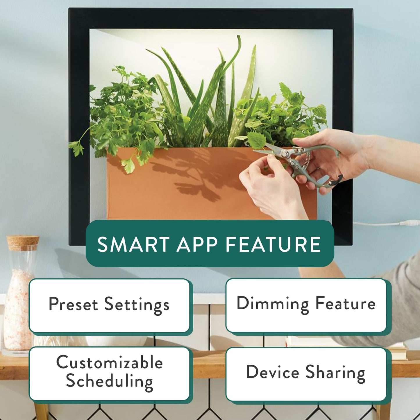 Modern Sprout Smart Growframe - Wall Mounted Plant Stand with LED Grow Light - Smart App Controlled - Powder-Coated Steel Frame for Indoor Plants - Perfect for Gifting, Home and Kitchen Decor -Emerald