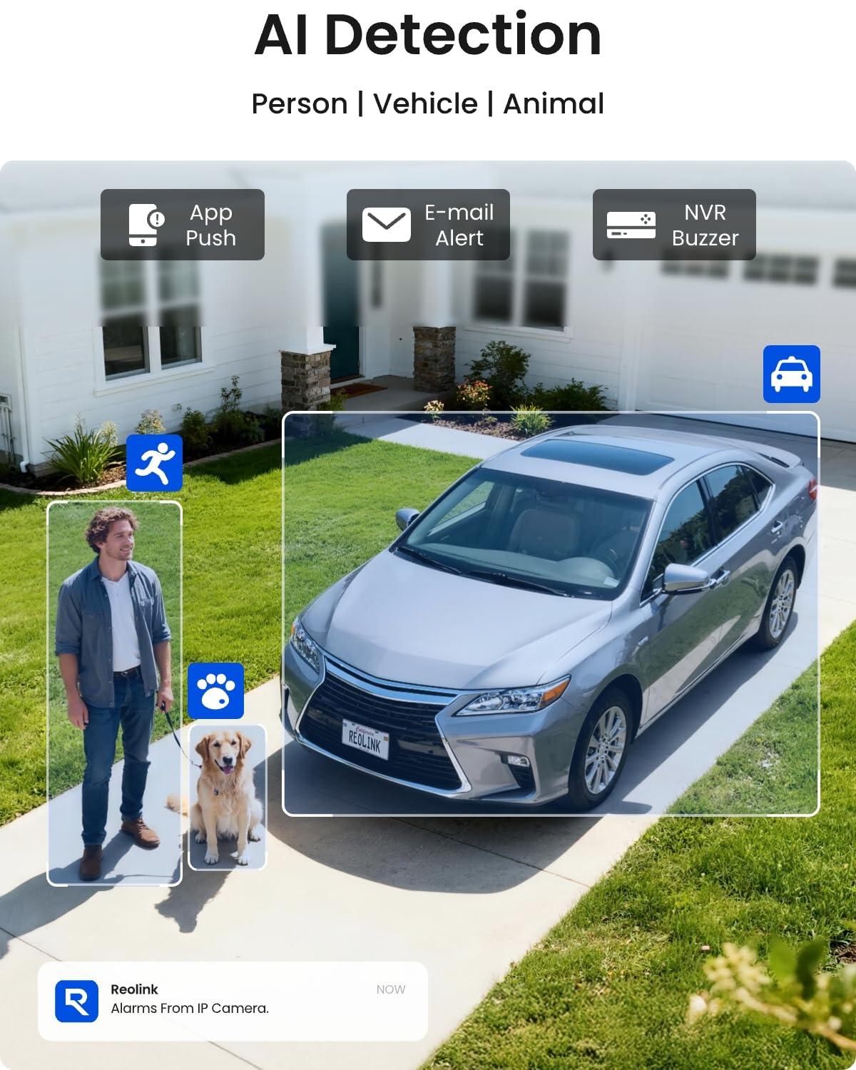 REOLINK 8CH 5MP Home Security Camera System, 6pcs Wired Outdoor PoE IP Cameras with Person/Vehicle/Pet Detection, 4K/8MP 8CH NVR with 2TB HDD for 24-7 Recording, RLK8-410B6-5MP