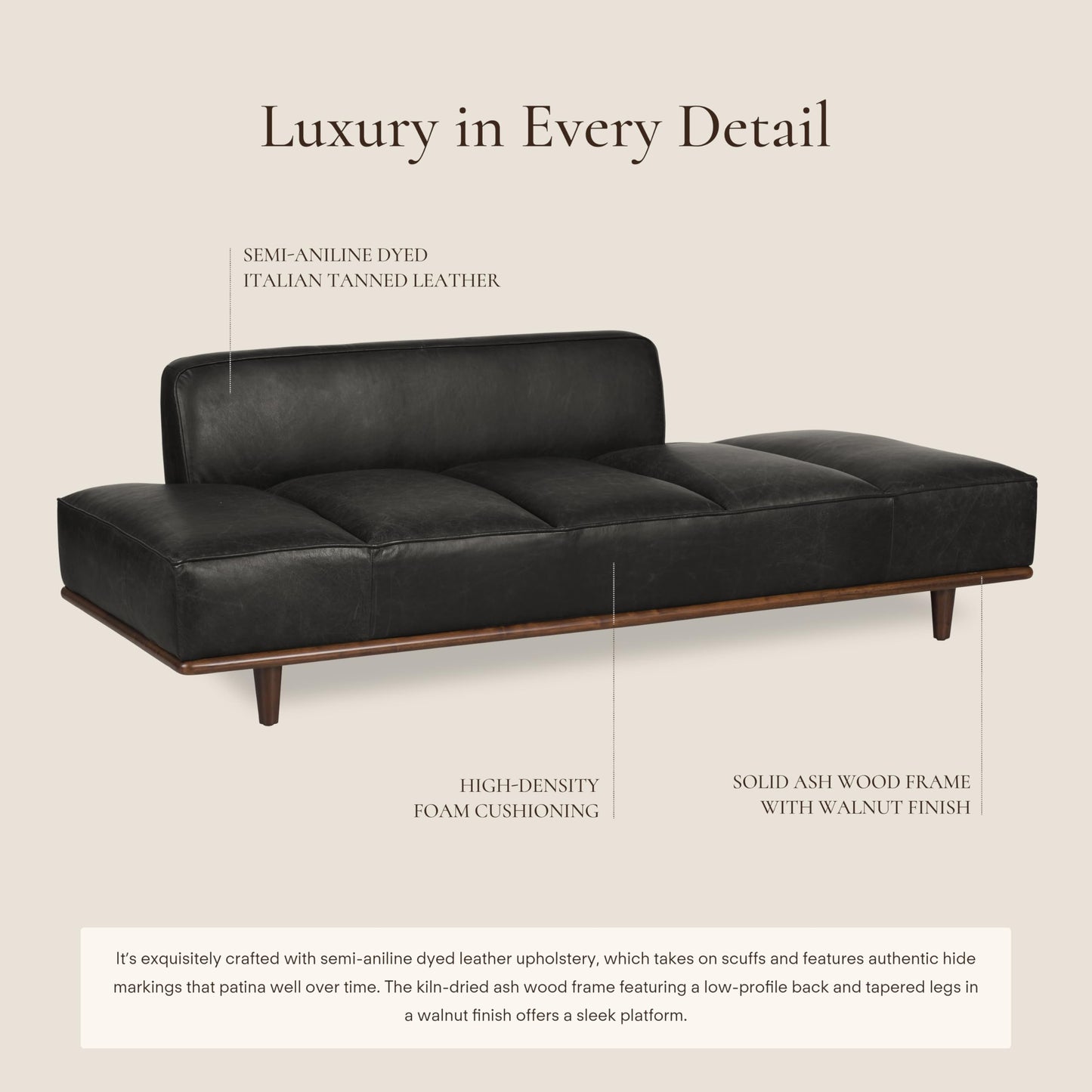 Poly & Bark Jasper Daybed – Onyx Black - Full-Grain Semi-Aniline Leather Upholstery – Walnut-Stained Ash Wood Frame, 6.6 Feet – Modern Daybed for Living Room or Guest Space– Minimal Assembly
