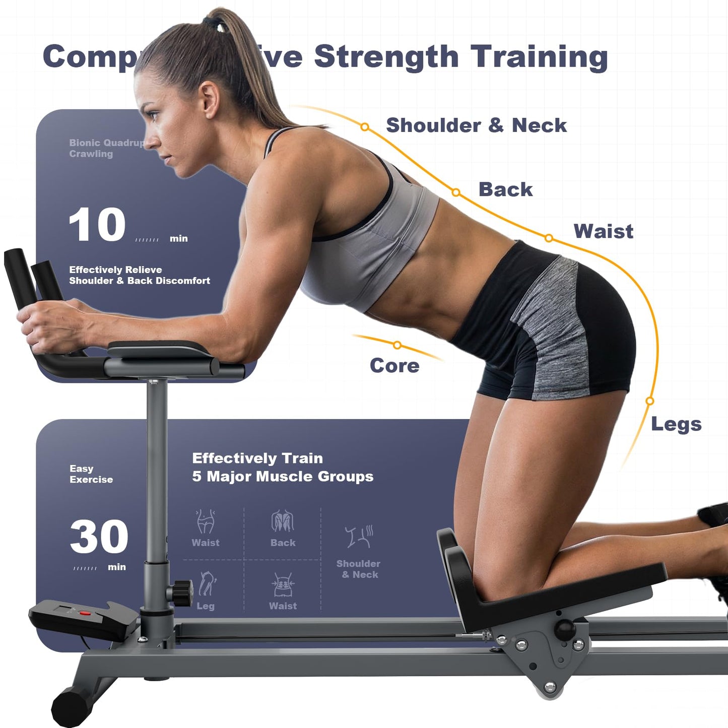 Bear Crawling Machine Workout for Core Training