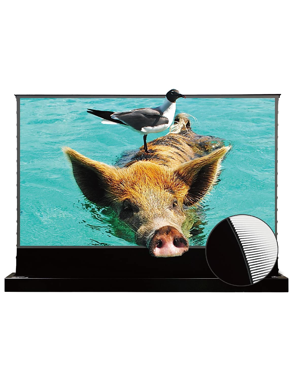 VIVIDSTORM S PRO Motorized Tension Floor Rising Projector Screen 100-inch | Home Cinema Setup |Black housing,VSDSTUST100H