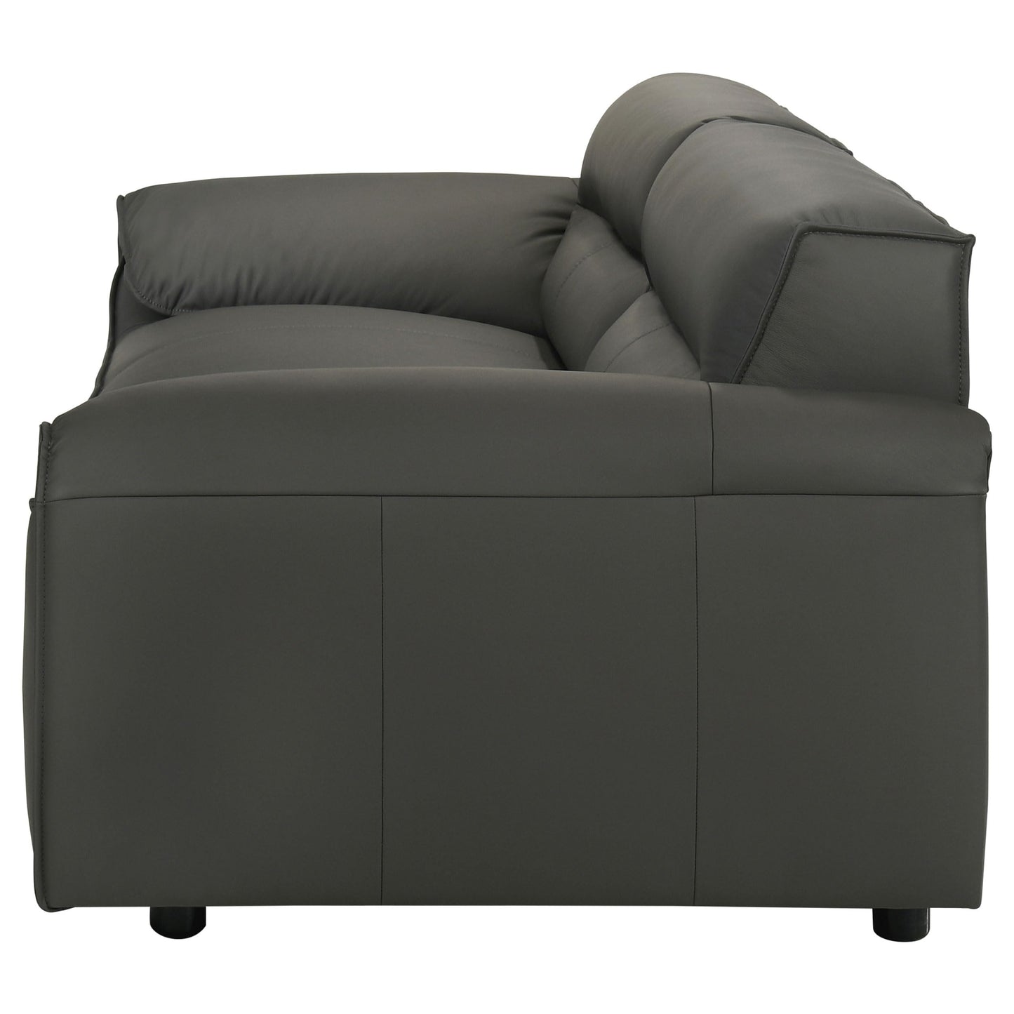 Coaster Home Furnishings - Buxton - Top Grain Leather - Upholstered Leather Sofa with Track Arms, Tight Back, Low-Profile Frame and Full Foam Seating - Living Room - Graphite - 509504