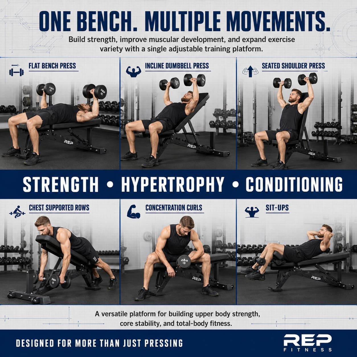REP AB-3100 Adjustable Weight Bench | Blue FID Strength Chair | Foldable Home Gym Equipment | Flat Incline Decline Workout Bench for Training and Fitness