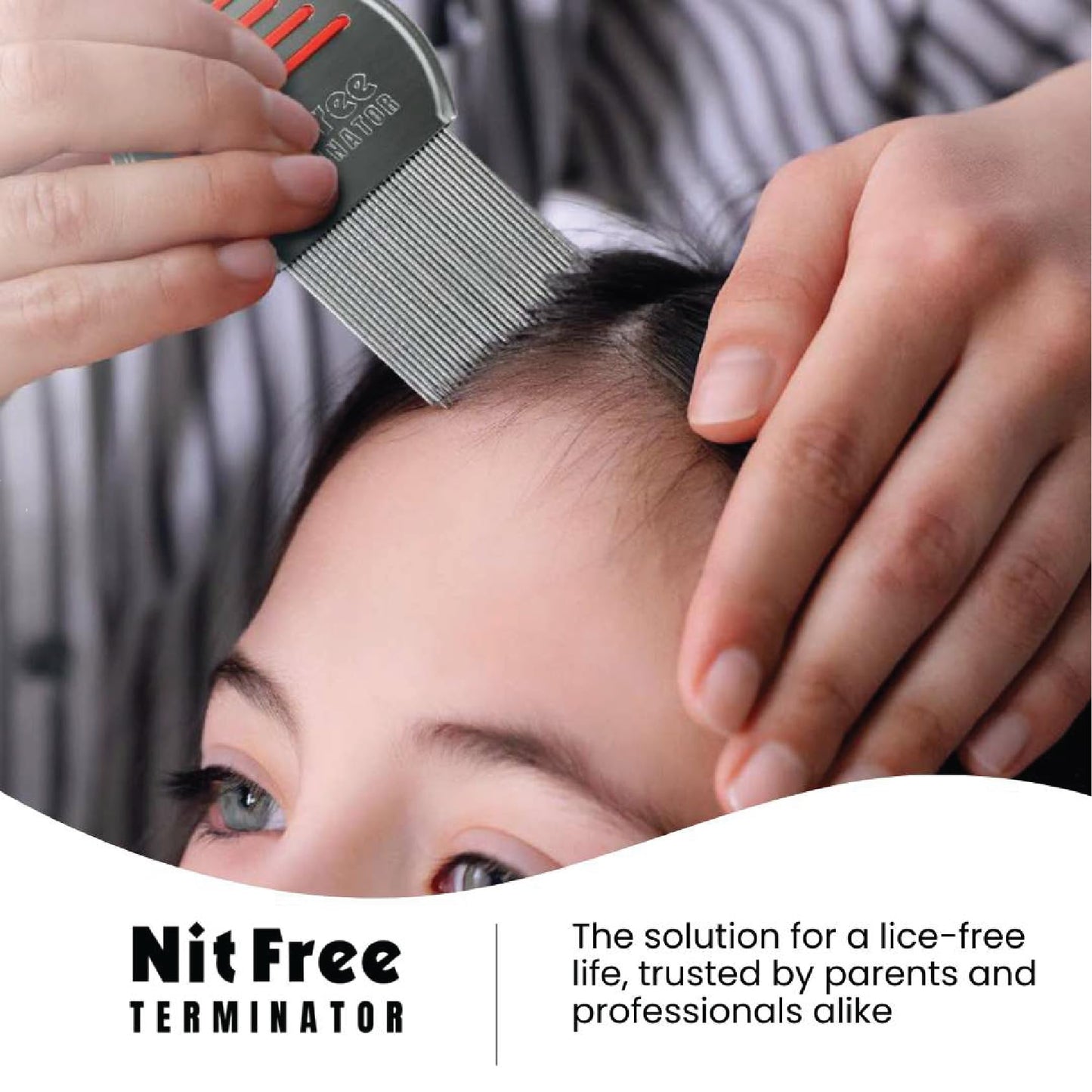 Nit Free Terminator Lice Comb - Professional Stainless Steel Comb for Effective Head Lice Treatment (Colors May Vary) (Pack of 24)