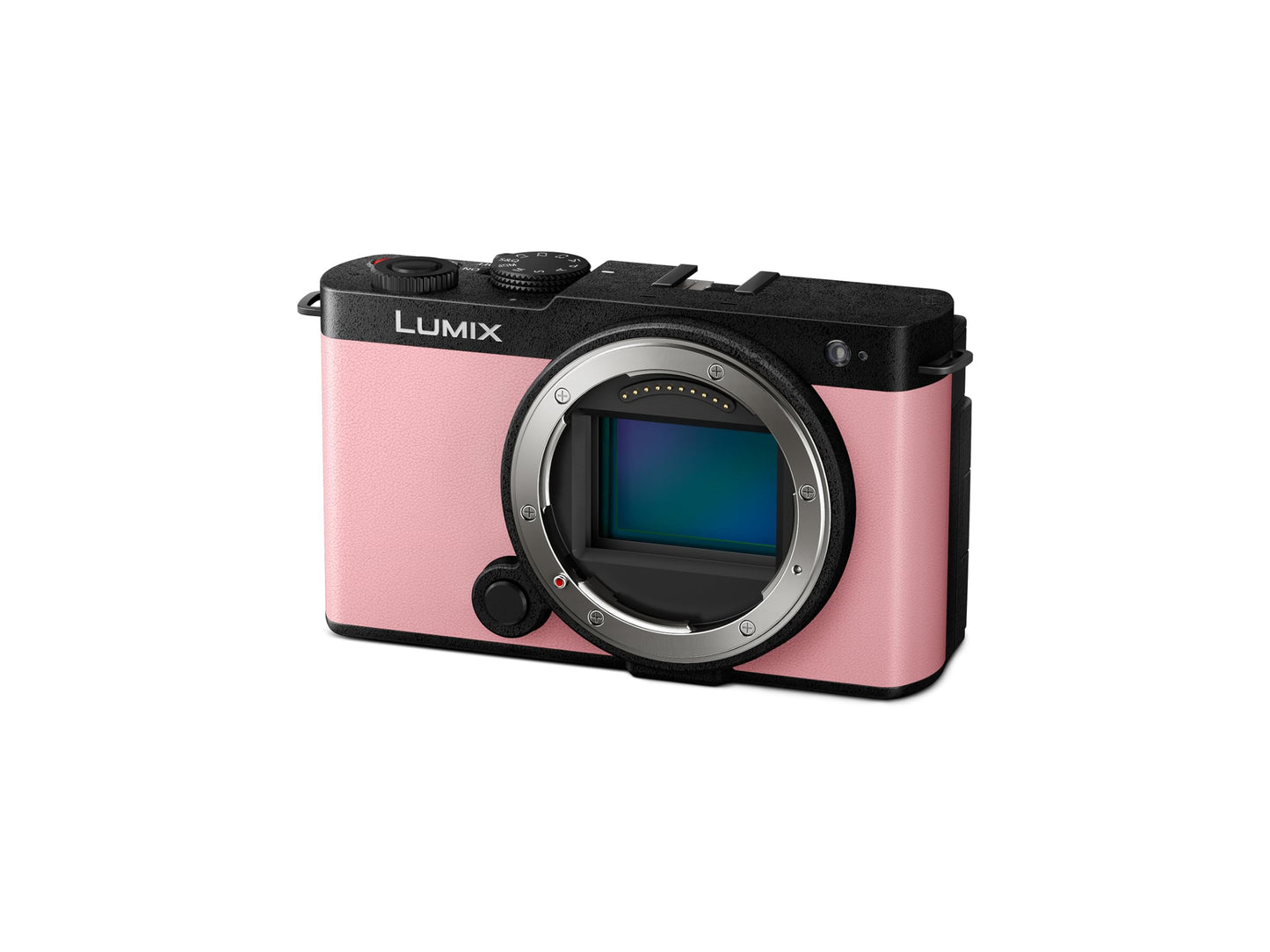 Panasonic LUMIX S9 Full-Frame Mirrorless Camera, Compact, Lightweight Body, Perfect for Social Media and Travel (DC-S9BODYP)
