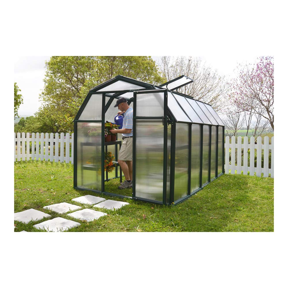 Palram - Canopia Rion EcoGrow 2 | 6 Ft. x 10 Ft. Greenhouse, Large Twin Wall Polycarbonate Heavy Duty Green House DIY Kit for Garden, Yard, Plants, Walk-in for Outdoors with Window Vent (Green)
