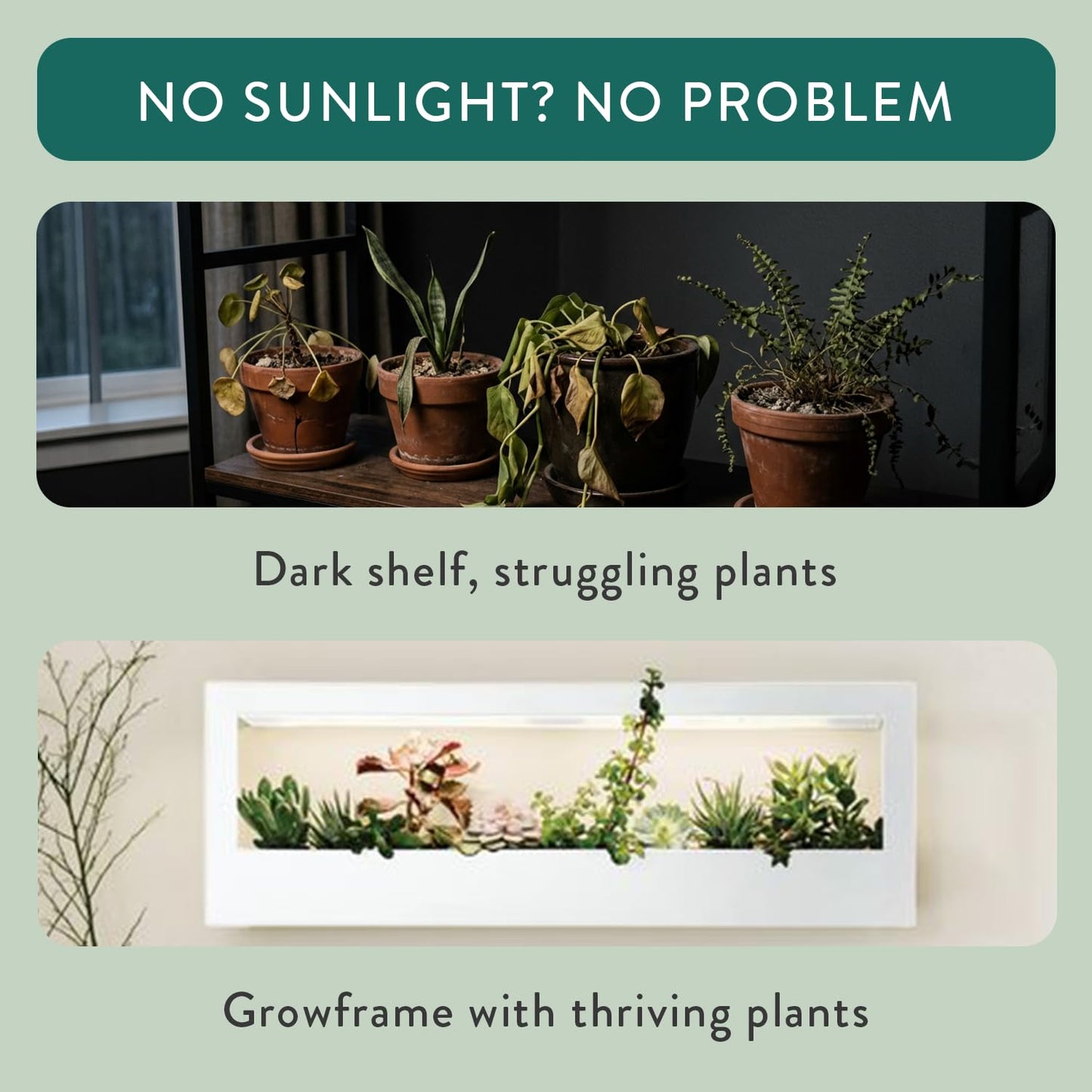 Modern Sprout Smart Landscape Growframe - Wall Mounted Plant Stand with LED Grow Light - Smart App Controlled - Powder-Coated Steel Frame for Indoor Plants - Perfect for Gifting and Decor - White
