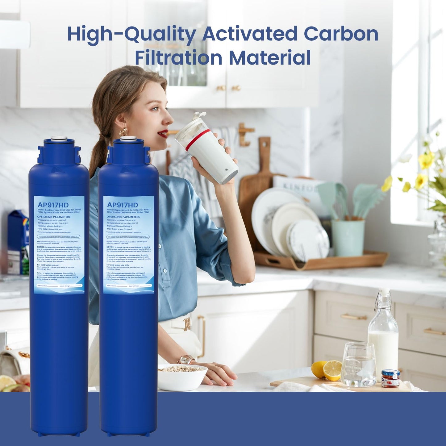 AP917HD AP903 Whole House Sanitary Quick Change Replacement Water Filter Compatible with 3M Aqua-Pure AP903 System, Reduces Sediment, Odor, and Scale 2 Pack