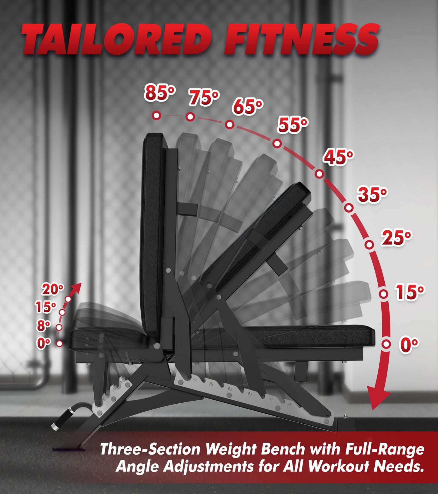 RITFIT Adjustable Weight Bench with Multiple Back Positions for Full Body Workouts, Incline, Decline, and Flat Settings for Home Gym Strength Training, 1300LB Capacity (Black,with 2x5lb rubber dumbbells)