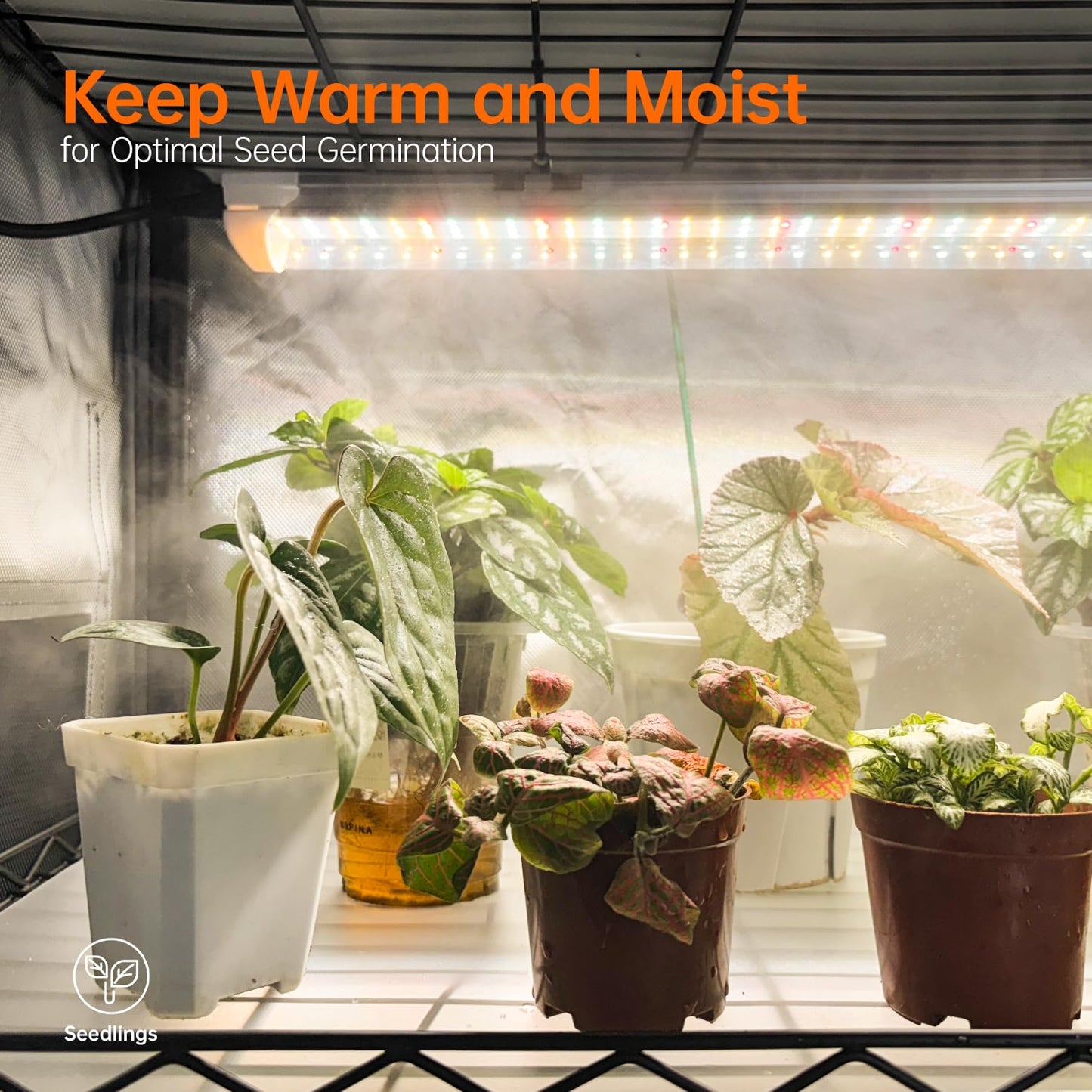 Bstrip Indoor Greenhouse with Grow Light, 4 Tier Plant Shelf with Oxford Fabric Grow Tent & Timer for Indoor Plant, Mini Greenhouse for Spring Seed Starting, Vegetables, Plant Growth, 23.6"x13.8"x59"