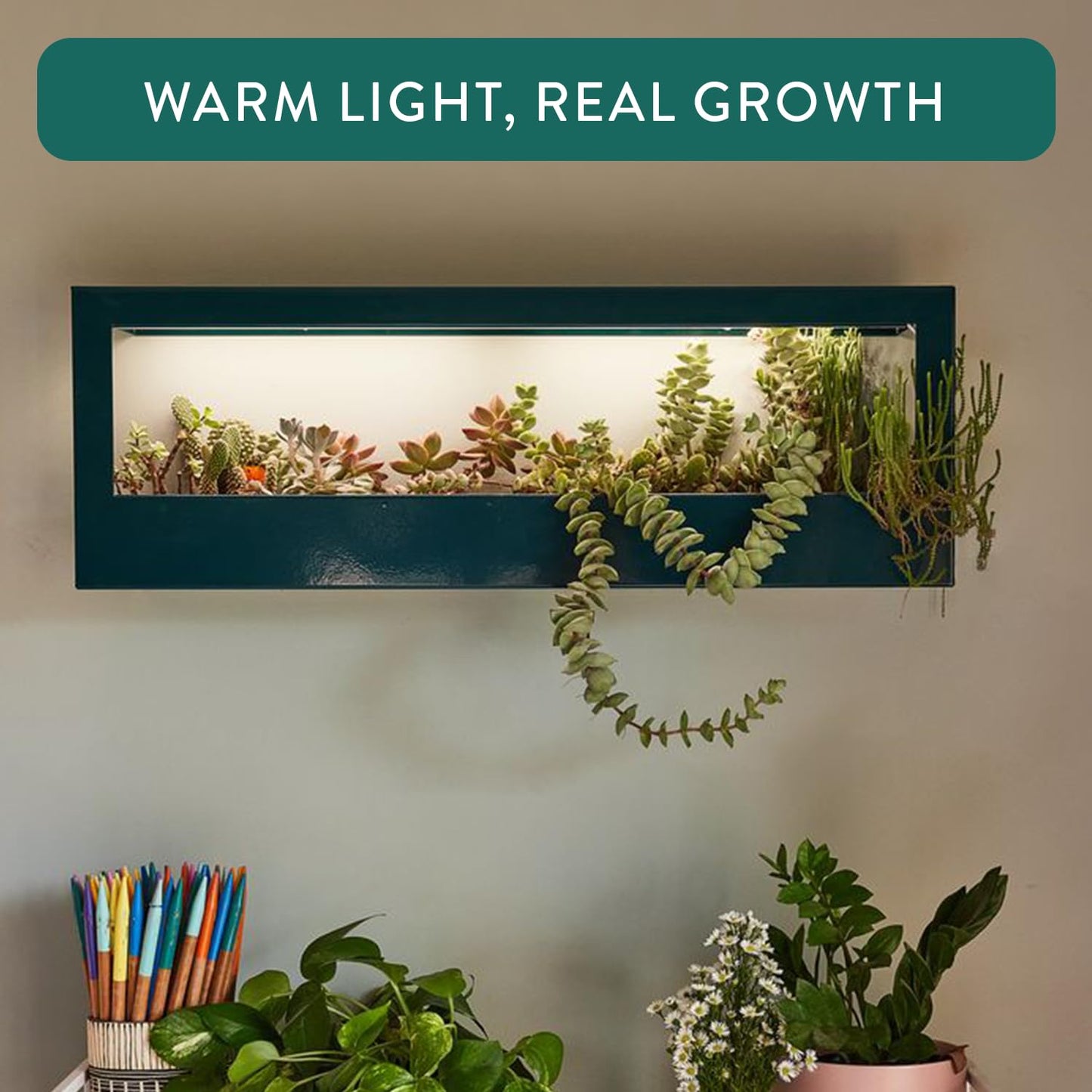 Modern Sprout Smart Landscape Growframe - Wall Mounted Plant Stand with LED Grow Light - Smart App Controlled - Powder-Coated Steel Frame for Indoor Plants - Perfect for Gifting and Decor - White