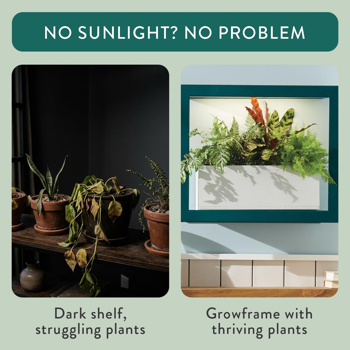 Modern Sprout Smart Growframe - Wall Mounted Plant Stand with LED Grow Light - Smart App Controlled - Powder-Coated Steel Frame for Indoor Plants - Perfect for Gifting, Home and Kitchen Decor -Emerald