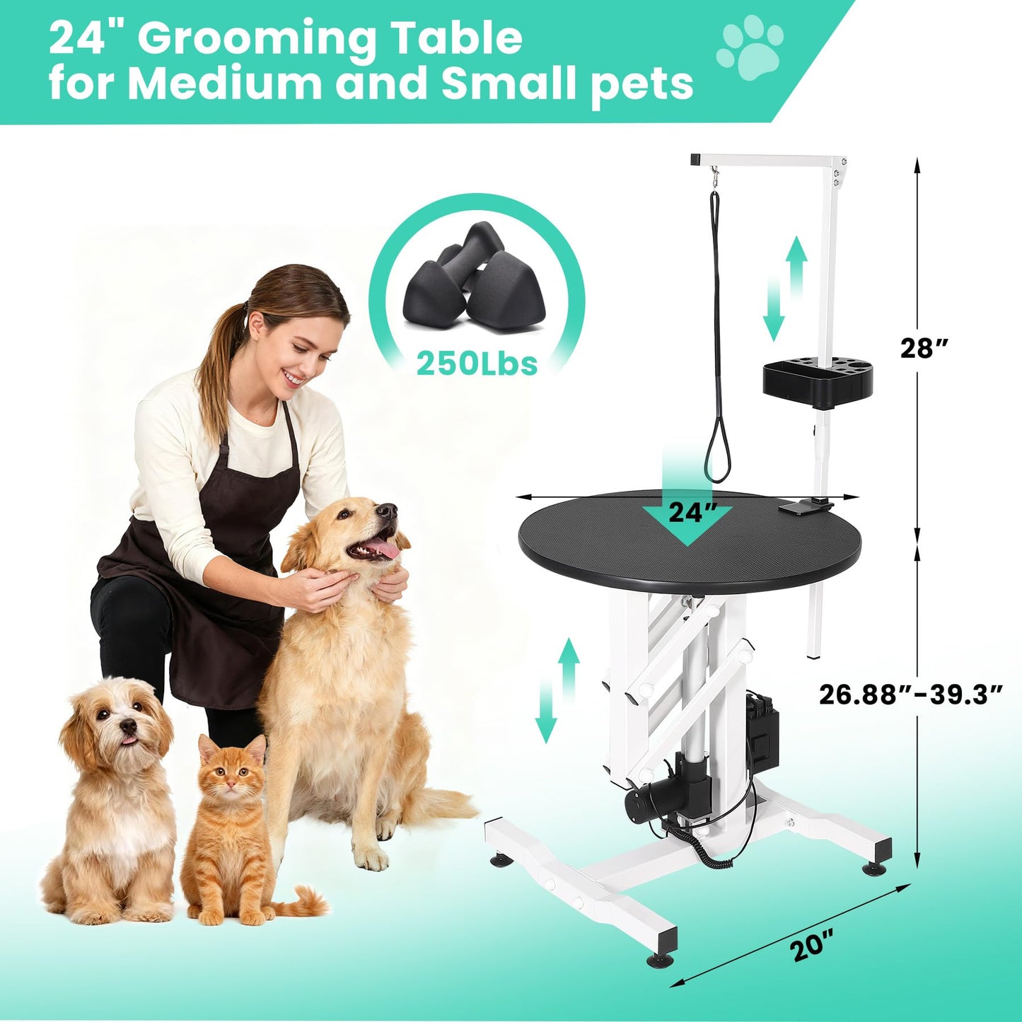 ActiveTrail Electric Hydraulic Lift Dog Grooming Table – 24 Inch Rotating Desktop, Overhead Arm, Foot Remote, Tool Organizer, 250LBS Capacity – Ideal for Small Pets