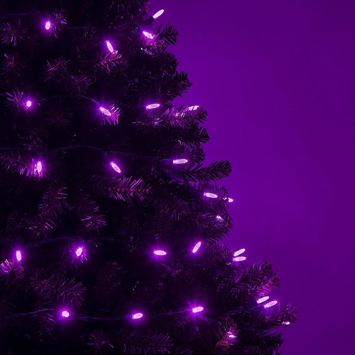 Wintergreen Lighting 24 ft M5 LED Purple Halloween Lights, 70 Count, Indoor/Outdoor, Commercial Grade, Green Wire