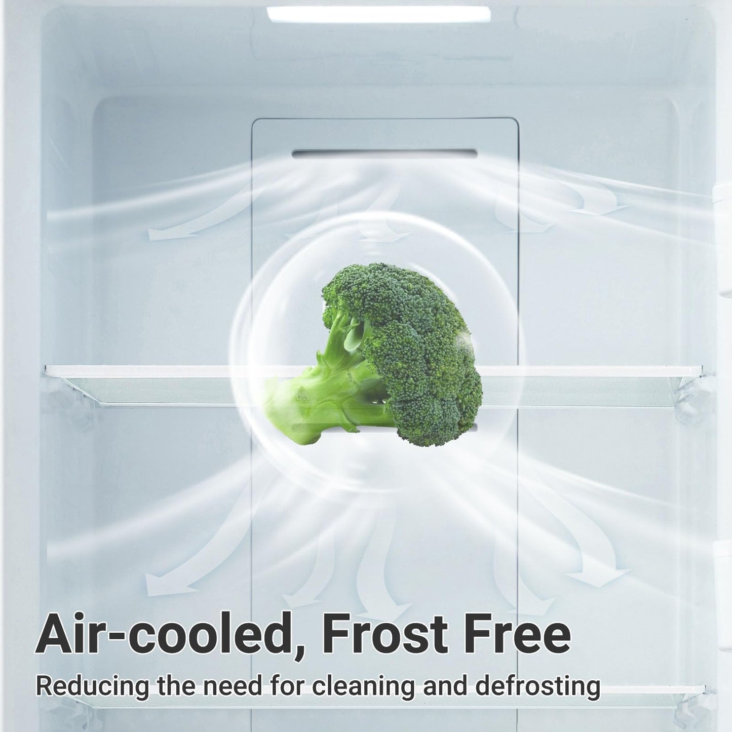 21 cu.ft Upright Freezer, Freezer Upright Frost Free Upright Freezers with LED Display,Stainless Steel Convertible Refrigerator Freezer for Garage,Kitchen Use