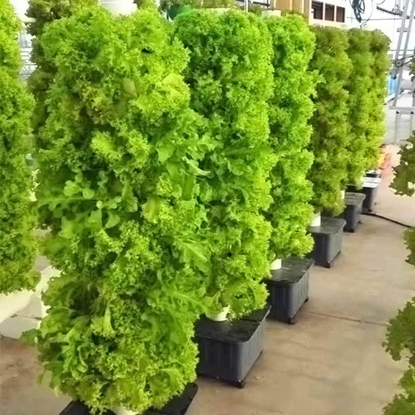 45 Pots Hydroponics Tower Set,Aquaponics Grow System,Vertical Farming Aeroponic Tower Equipment for Indoor Herbs,with Hydrating Pump, Timer