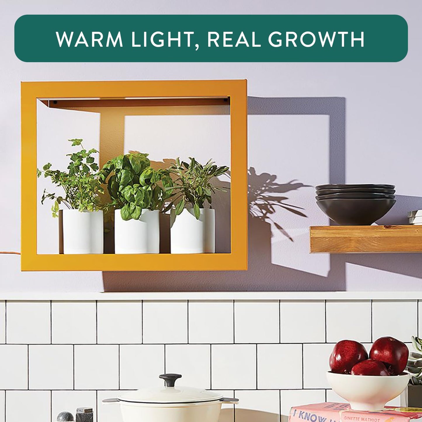 Modern Sprout Smart Growframe - Wall Mounted Plant Stand with LED Grow Light - Smart App Controlled - Powder-Coated Steel Frame for Indoor Plants - Perfect for Gifting, Home and Kitchen Decor -Emerald