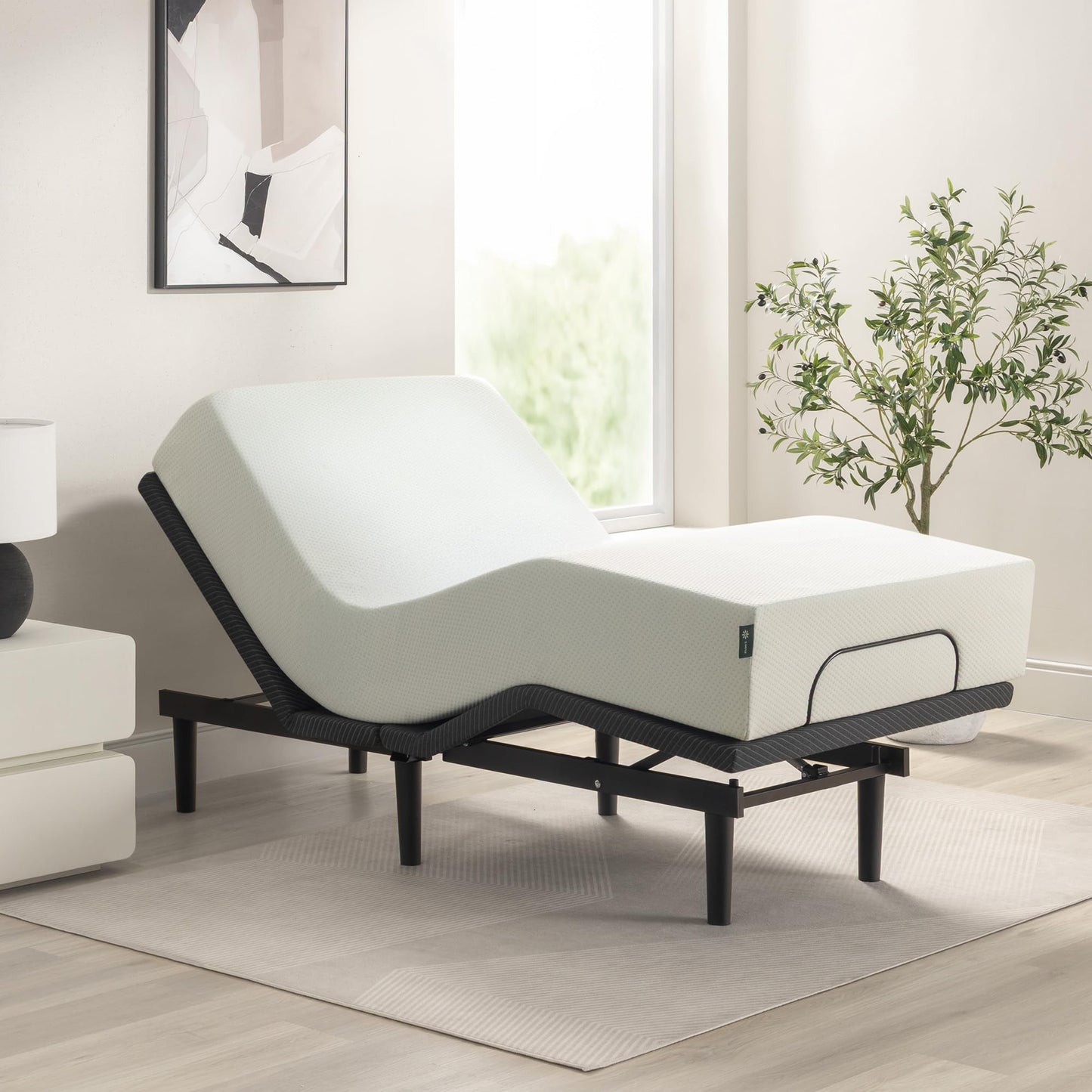 Zinus Nadia Adjustable Bed Frame, Electric Reclining Platform Bed Base, 5-Function Wireless Remote, Independent Head and Foot Incline, Easy, Tool-Free Assembly, Twin XL