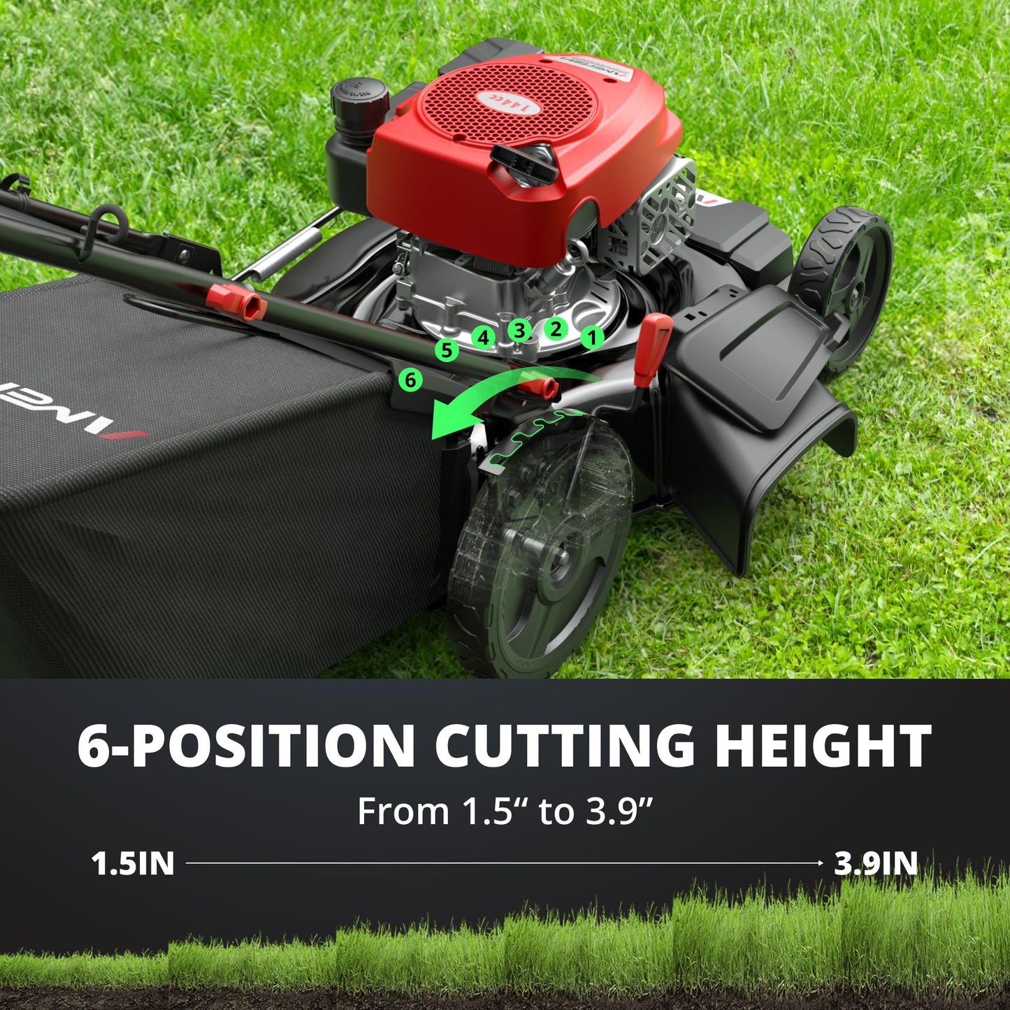 AMERISUN 21-Inch 2-in-1 Gas Push Lawn Mower, 144cc OHV Walk-Behind Mower for Yard, Mulching Side Discharge, 1.5–3.9 in Adjustable Cutting Height, 10-in Rear Wheels