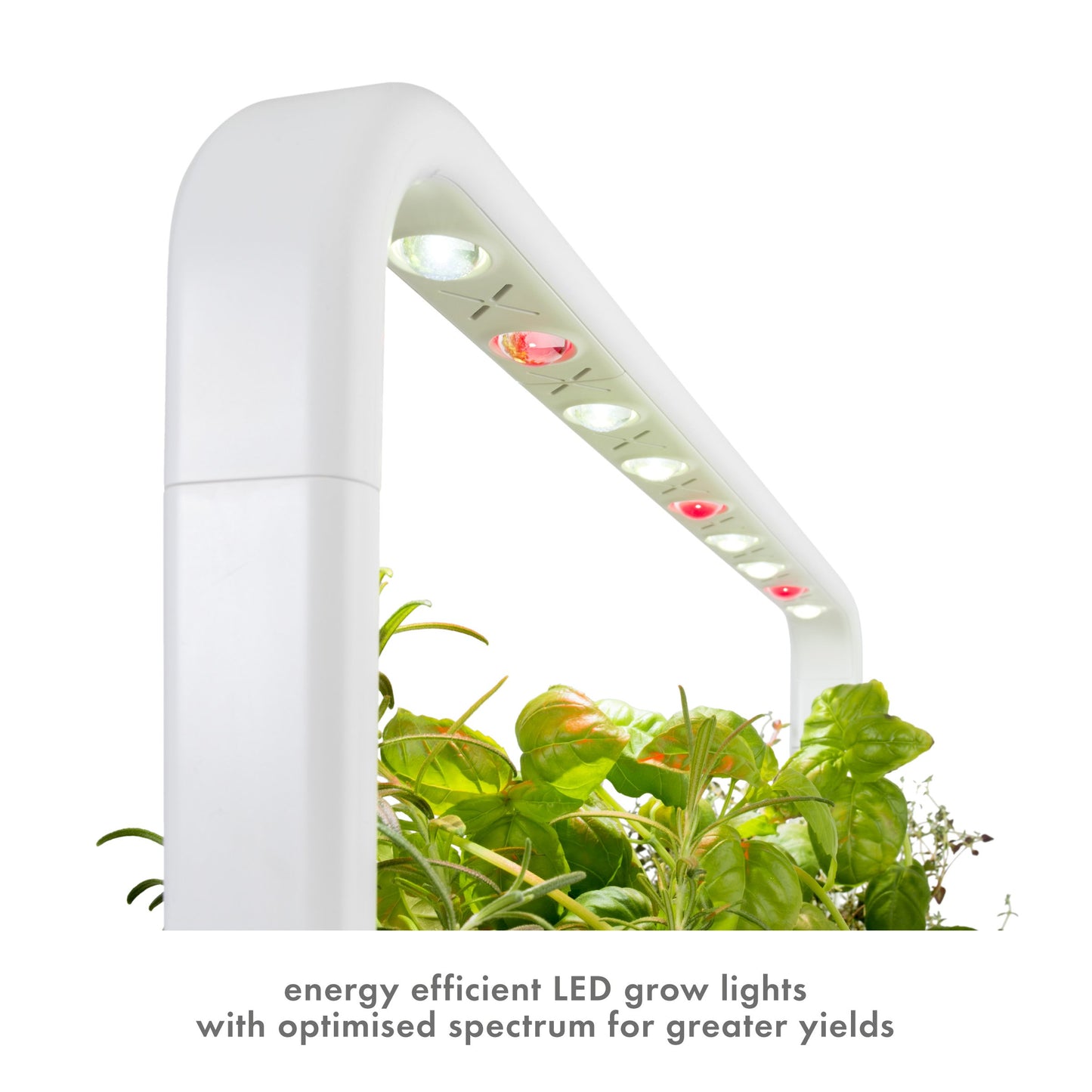 Click & Grow Indoor Herb Garden Kit with Grow Light | Easier Than Hydroponics Growing System | Smart Garden for Home Kitchen Windowsill | Vegetable & Herb Garden Starter Kit with 9 Plant pods, Gray