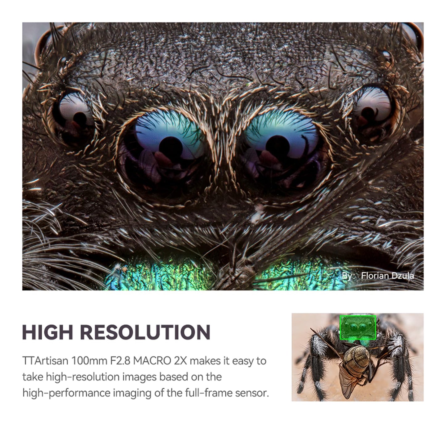 TTArtisan 100mm f/2.8 Macro Lens for Canon RF Mount 2X Magnification Full Frame Manual Focus Mirrorless Camera Lenses EOS R RP R5 R5C R6 R6II R7 R10 R50 R100