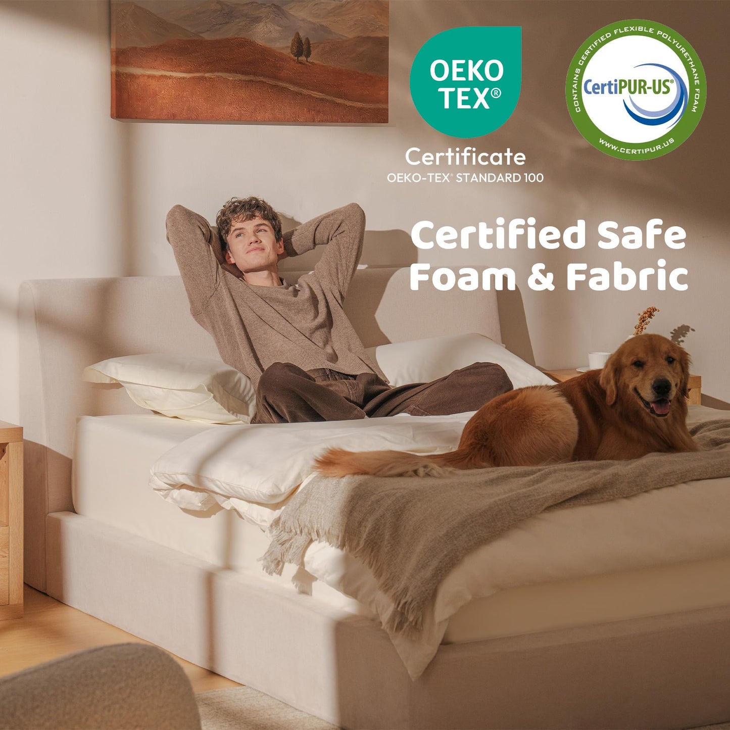 RECCI AirFrame Queen Bed Frame with Ergonomic Angled Headboard, 360° Cushioned Platform Bed Frame, Low Profile Minimalist Soft-Frame Bed, No Box Spring Needed, Easy Assembly, Beige Chenille