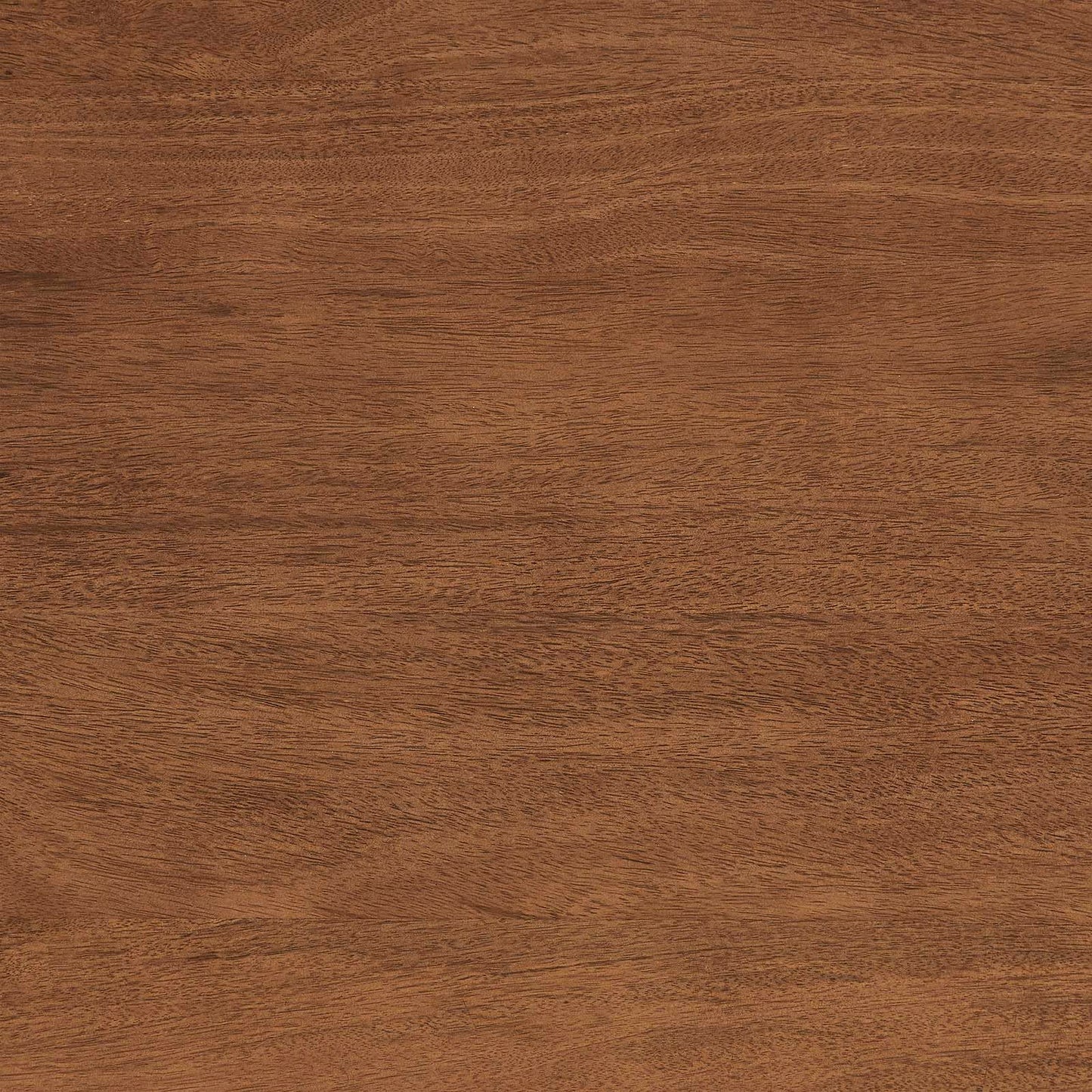 Modway Amistad 72" Solid Wood Modern Farmhouse Rectangular Dining Table in Walnut