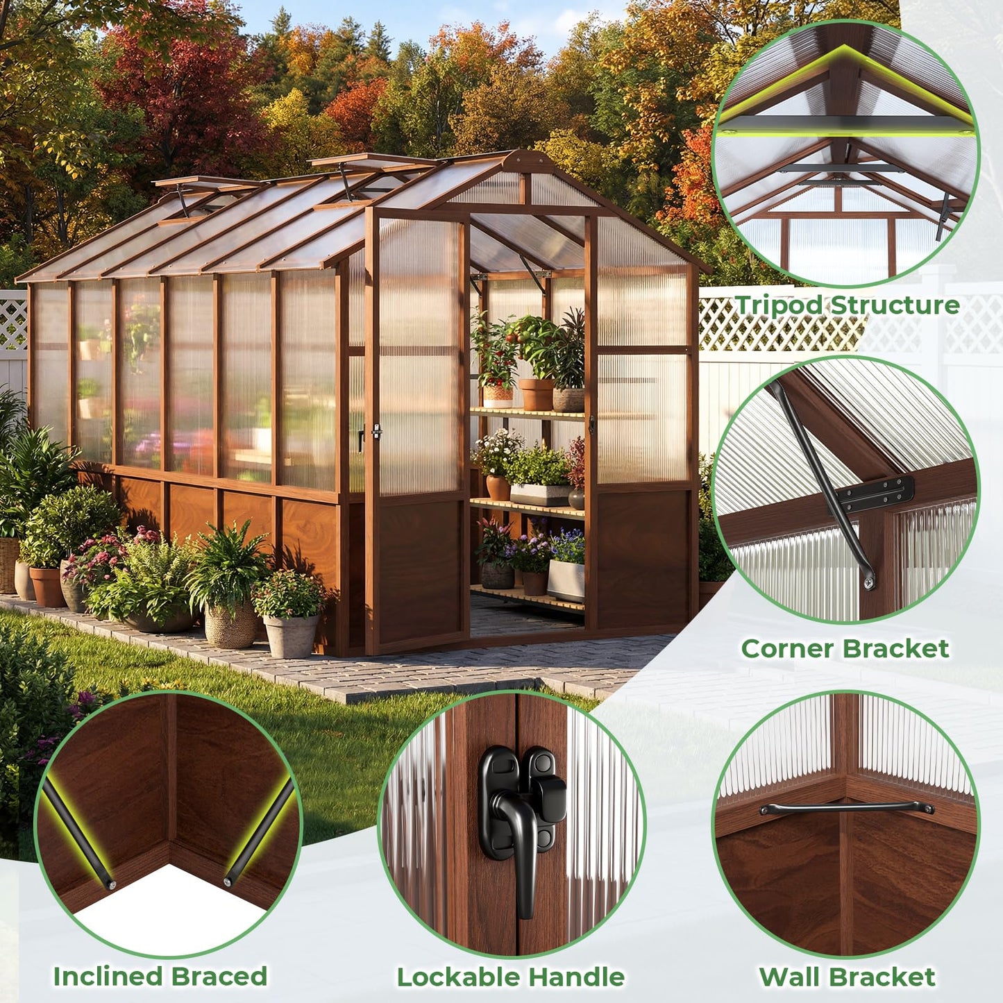 Jocoevol 6x12FT Greenhouse for Outdoors, Wooden Frame Polycarbonate Green House w/ Adjustable Roof Vent and Lockable Door Handle, Walk-in Greenhouses for Outside Garden Backyard