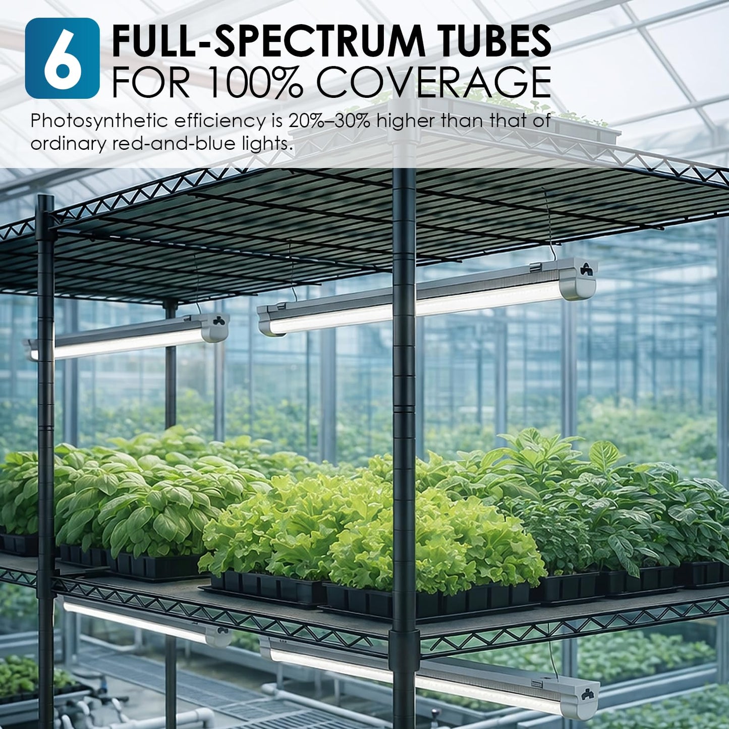 EJWOX 4 Tier Indoor Greenhouse Plant Shelf with Grow Lights, 6-Pack 18W Full Spectrum LED Grow Lights, Timer & Casters, Large Double Grid Metal Stand for Vegetables Herbs Succulents - 48x22x63 Inch