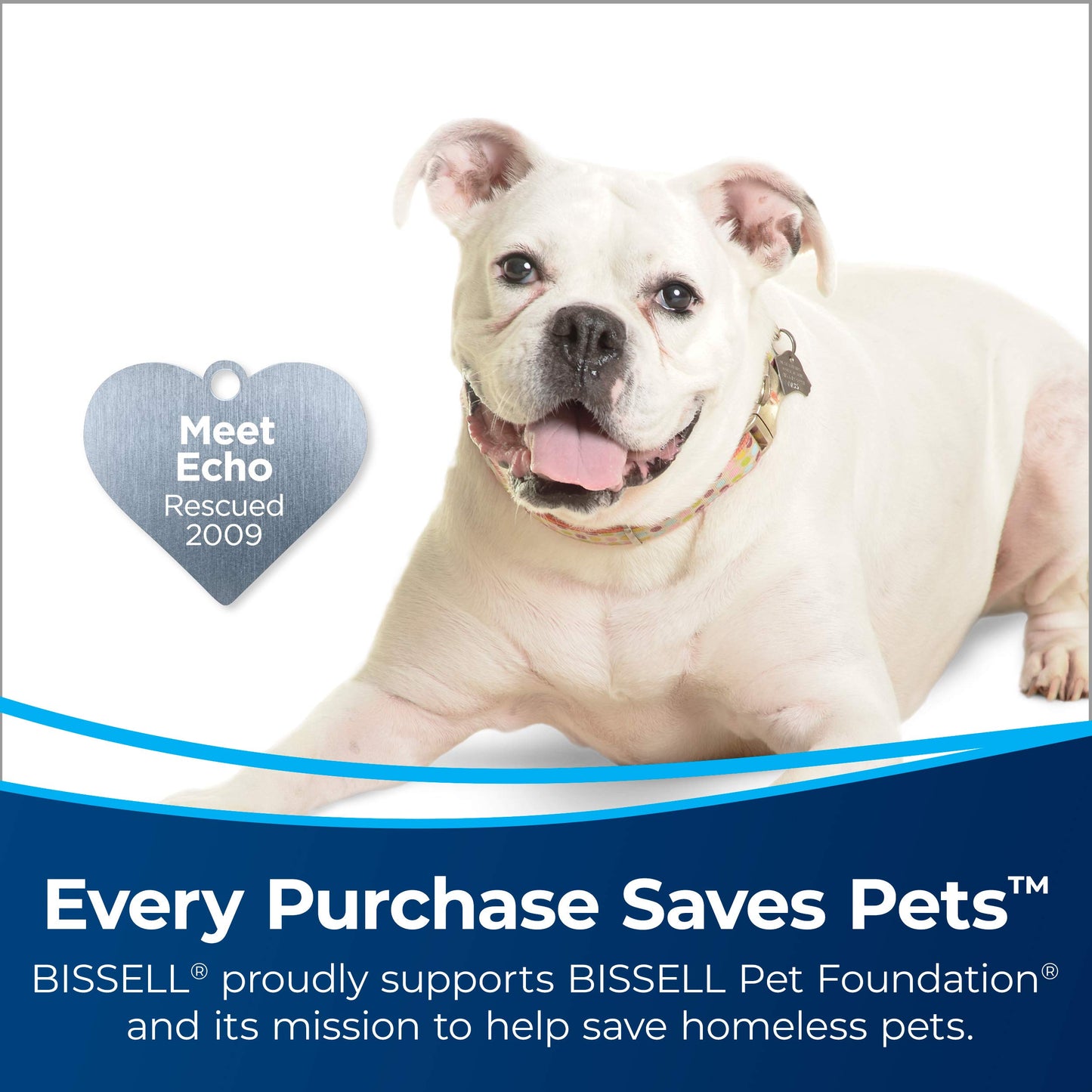Bissell ProHeat 2X Revolution Pet Full Size Upright Carpet Cleaner, 1548F, Orange