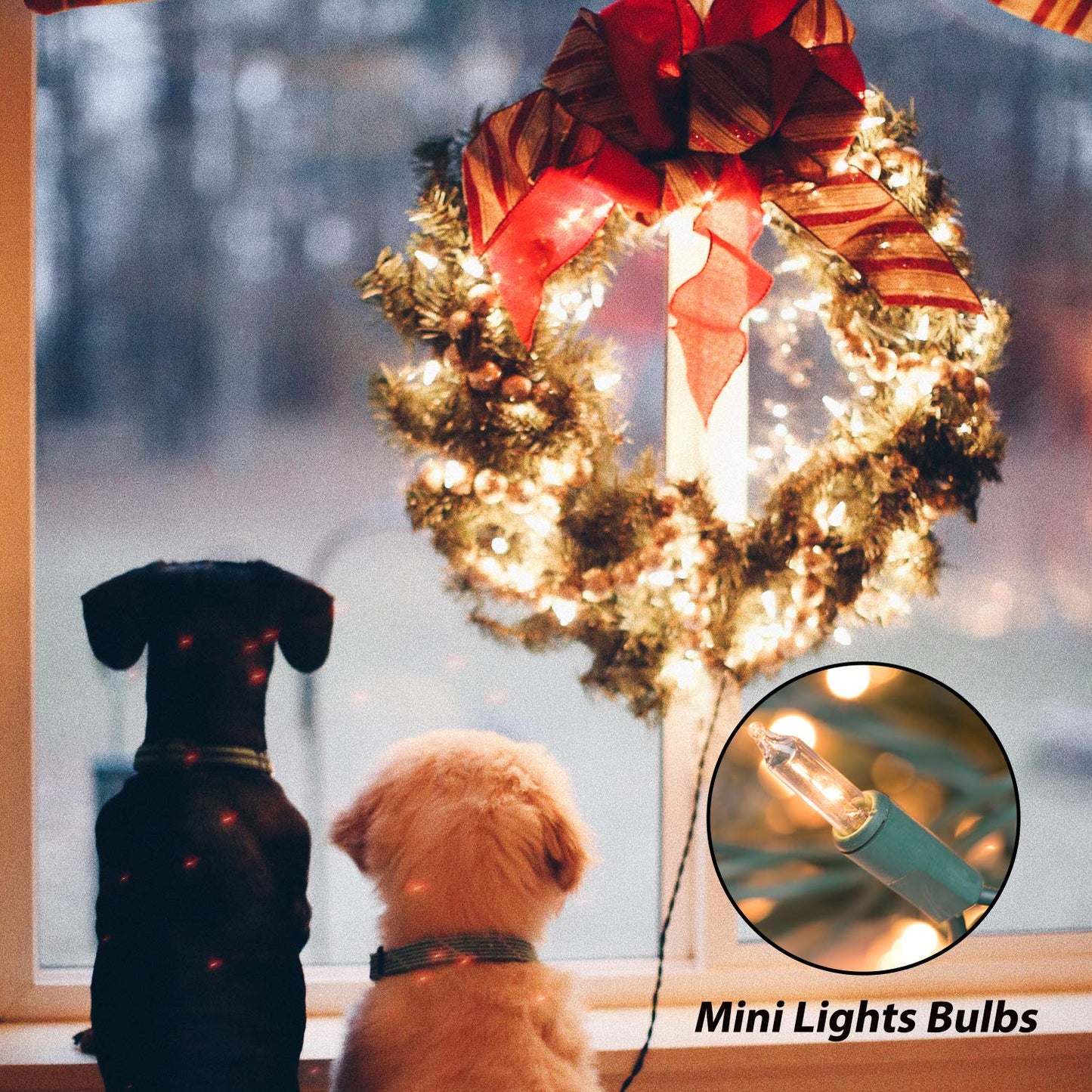 Minetom 100 Count Clear Christmas String Lights - 3 Pack 26.5 Feet Warm White for Indoor Outdoor Decorations