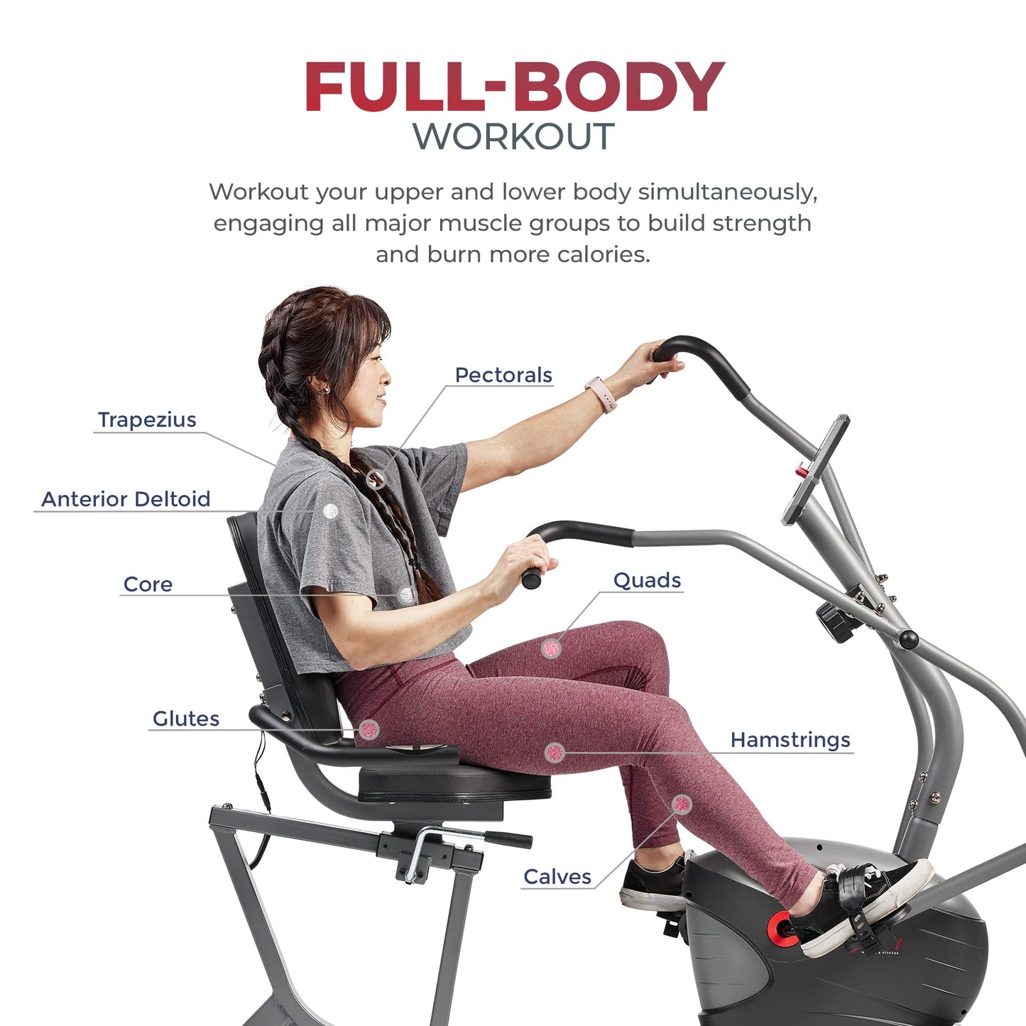 Sunny Health & Fitness Compact Performance Recumbent Bike with Dual Motion Arm Exercisers, Quick Adjust Seat & Exclusive SunnyFit® App Enhanced Bluetooth Connectivity - SF-RB420032 Gray