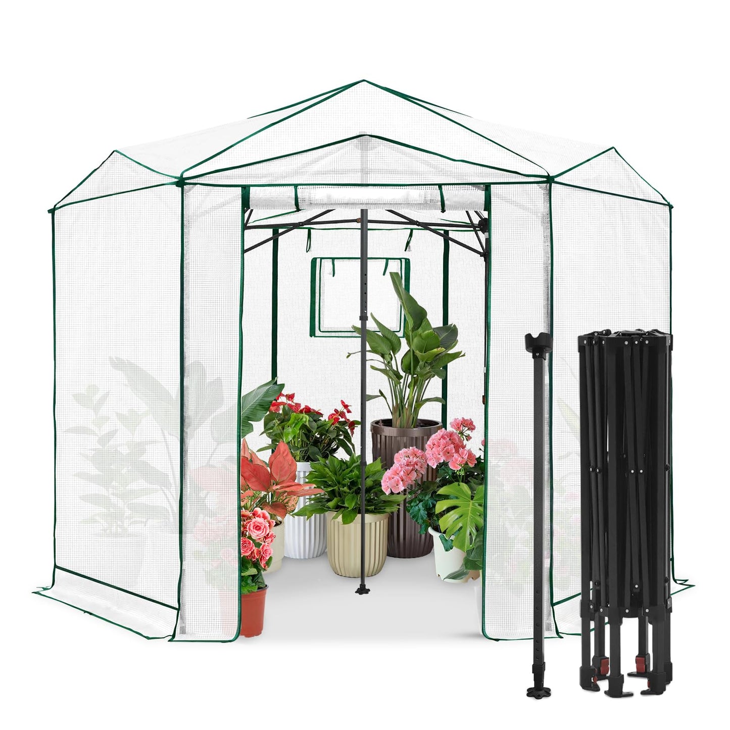 EAGLE PEAK 8.5x8.5 Portable Walk in Greenhouse, Pop Up Indoor Outdoor Greenhouse, Green House Kit with Zippered Roll-Up Doors and Windows, Hexagon Design, PE Cover, Clear/White