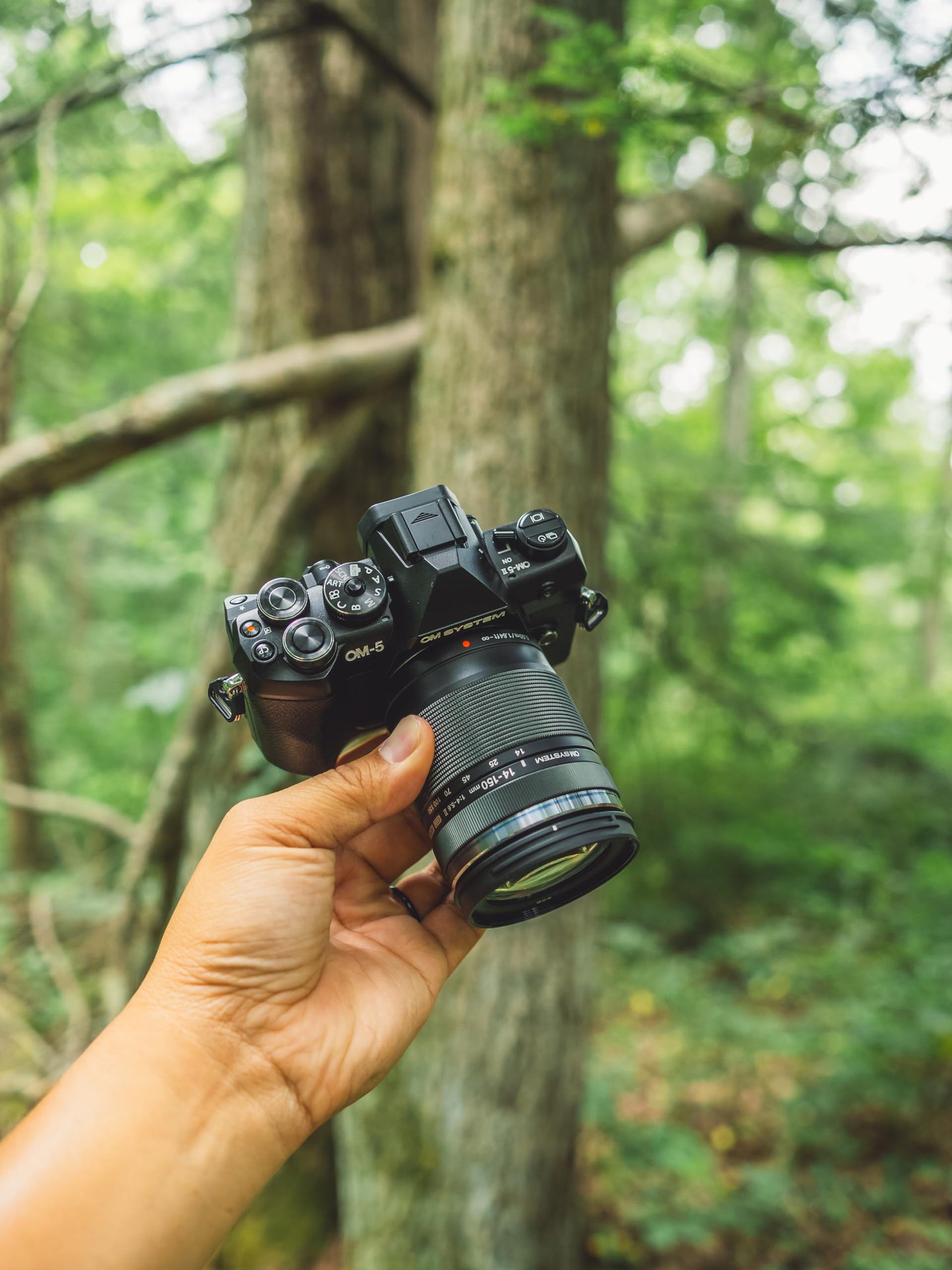 OM SYSTEM OM-5 Mark II BLK w/M.ZUIKO Digital 14-150mm f4.0-5.6 II Compact Light Weight Weather Sealed 4K Video Camera Best for Outdoor Travel