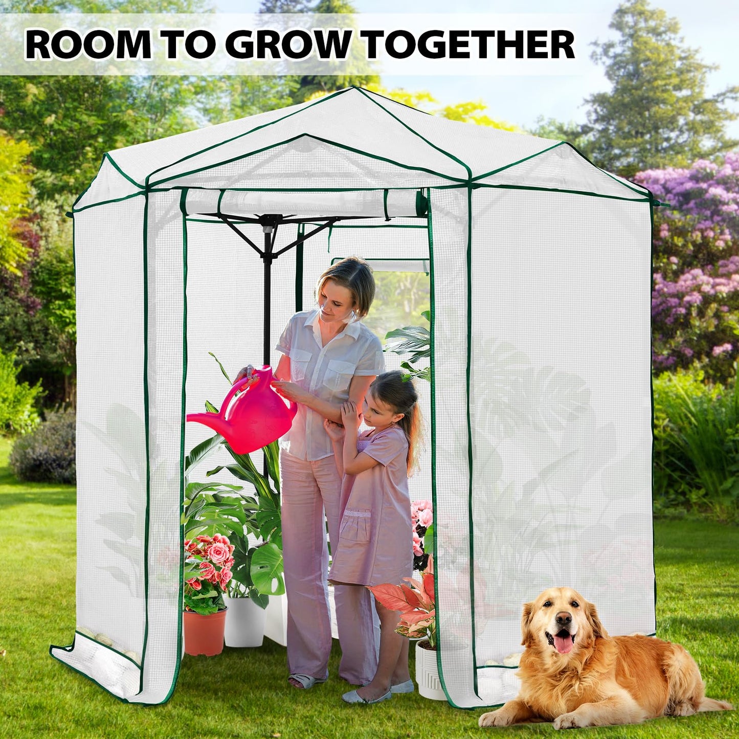 EAGLE PEAK 6.6x6.6 Portable Walk in Greenhouse, Pop Up Indoor Outdoor Greenhouse, Green House Kit with Zippered Roll-Up Doors and Windows, Hexagon Design, PE Cover, Clear/White