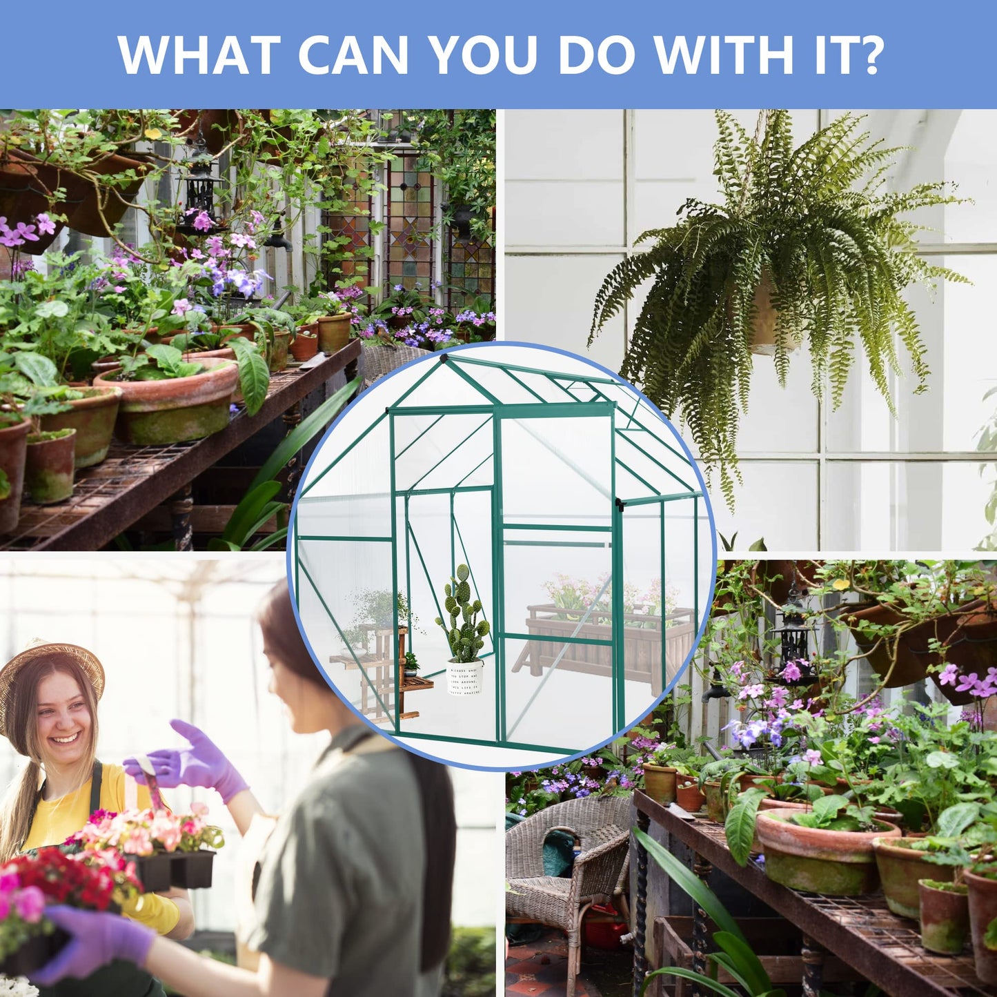 KEIKI 6x8 FT Polycarbonate Greenhouse with Aluminum Frame,Raised Base and Roof Vent,Walk-in Greenhouses for Patio Garden Backyard