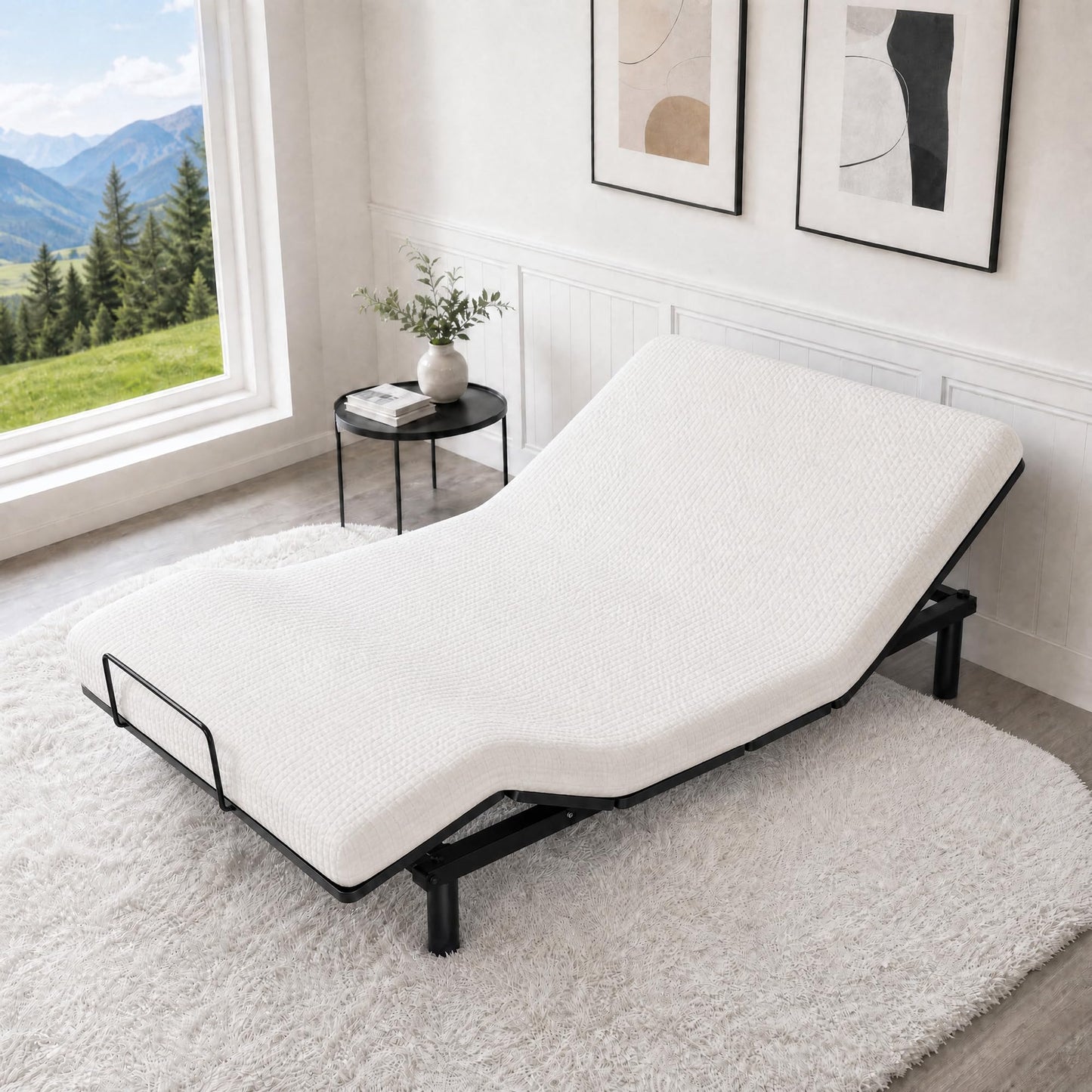 Electric Bed Frame with Remote, Adjustable Head & Foot, 1000 Lb Base, Queen