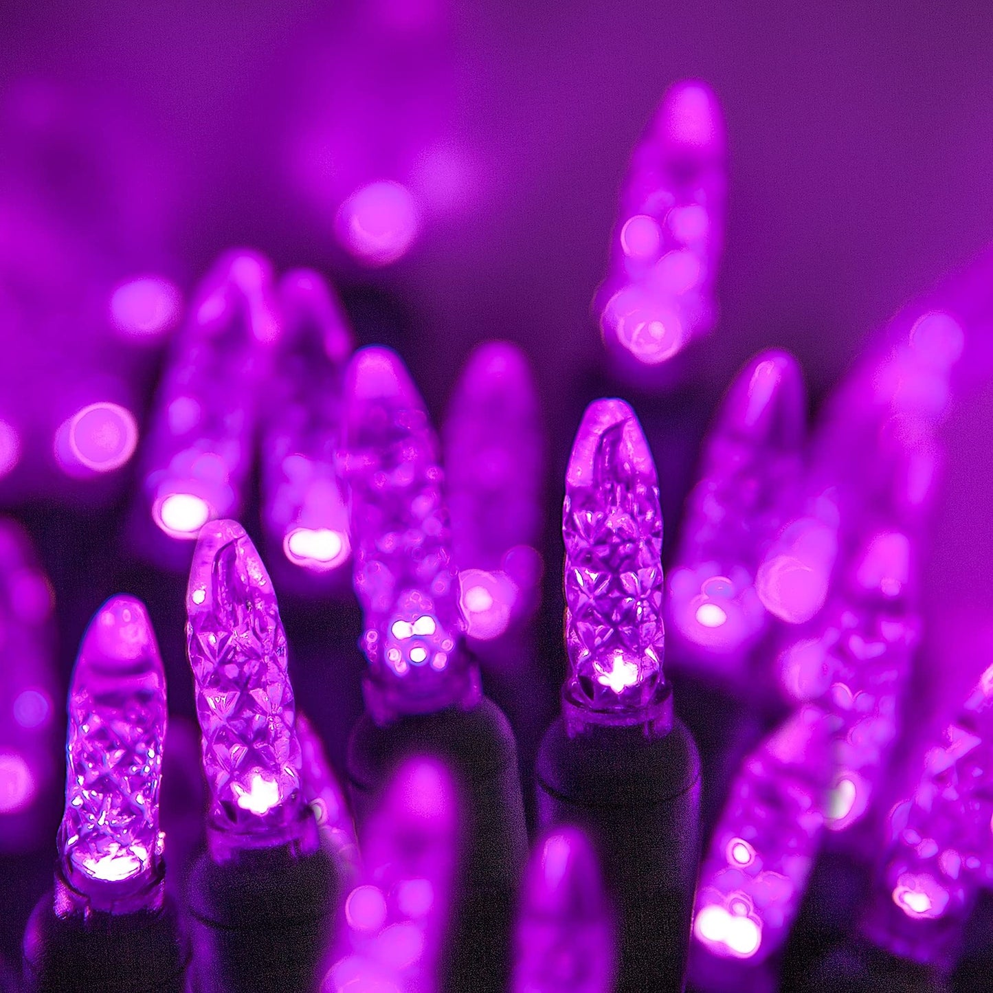 Wintergreen Lighting 24 ft M5 LED Purple Halloween Lights, 70 Count, Indoor/Outdoor, Commercial Grade, Green Wire