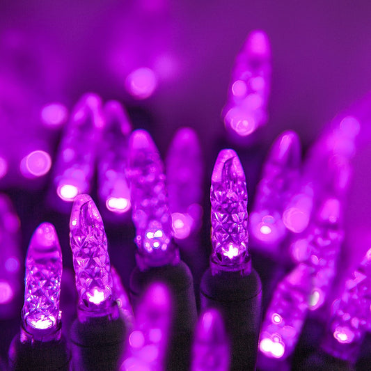 Wintergreen Lighting 24 ft M5 LED Purple Halloween Lights, 70 Count, Indoor/Outdoor, Commercial Grade, Green Wire