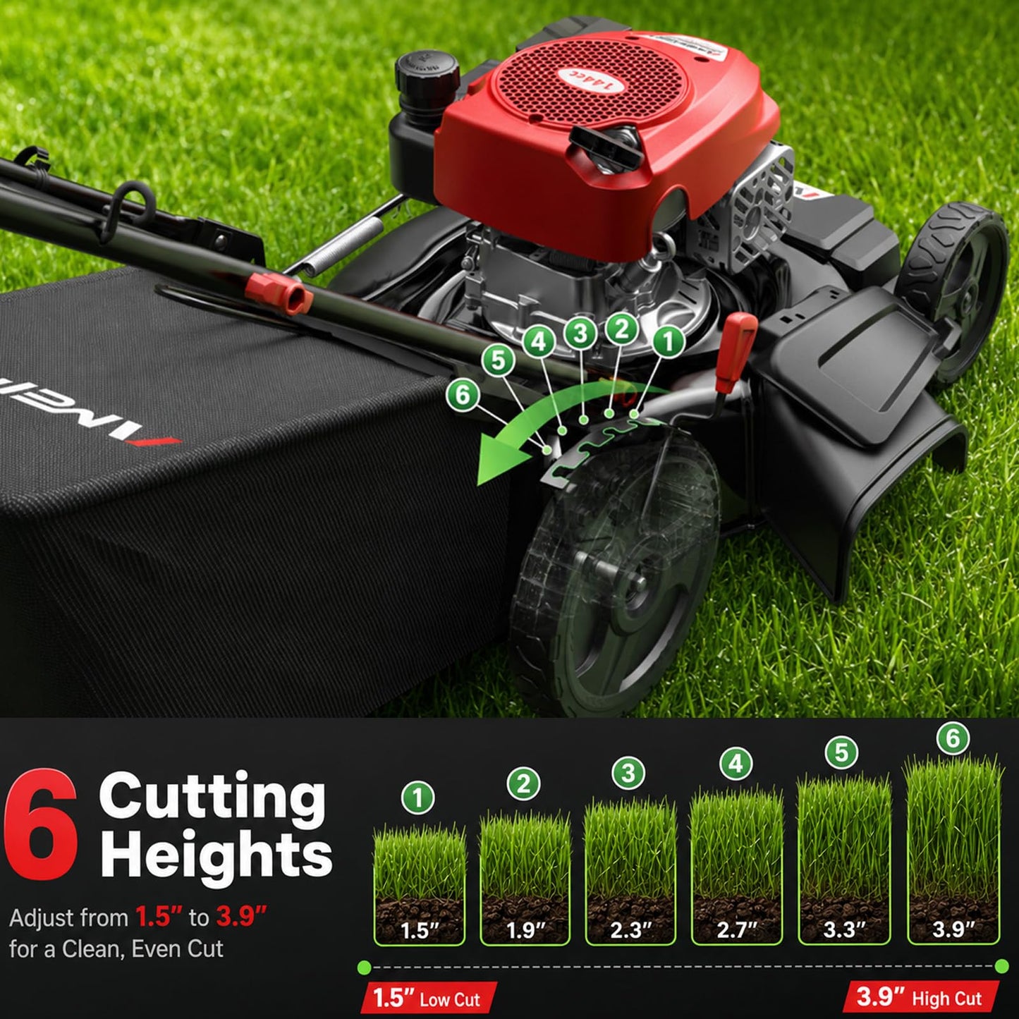 AMERISUN 21-Inch Gas Push Lawn Mower for Large Yard, 144cc 4-Stroke Engine, 6-Position Adjustable Cutting Height, 3-in-1 Mulching, Side Discharge & Rear Bag for Garden Landscaping
