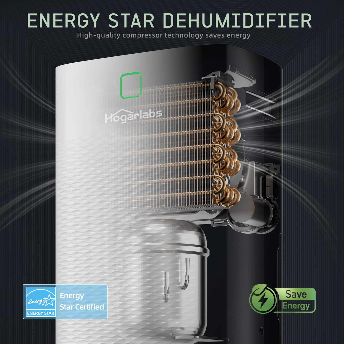 80 Pints Energy Star Dehumidifier Basement Home, Smart Silent Dehumidifier with Drain Hose, 1.32 Gal Water Tank, Intelligent Humidity Control, 24H Timer, for Large Room Bathroom Bedroom