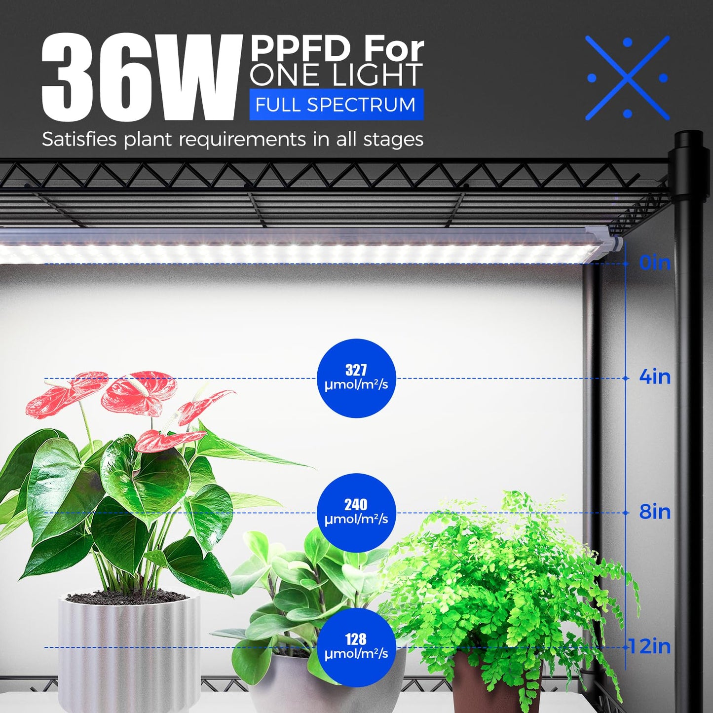Barrina CX3Z Indoor Greenhouse with Grow Light, Full Spectrum 3FT 108W Plant Growing Lamp, 4-Tier Metal Plant Stand with Zippered EVA Cover, Wheels & Timer, 35.4"x13.8"x70.9"