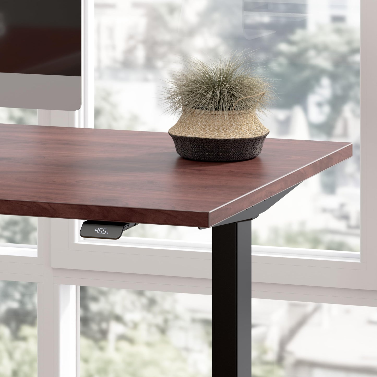 Bush Business Furniture 72-inch Electric Height Adjustable Standing Desk, Ergonomic Sit-Stand Computer Table for Home and Professional Office, Move 40 Series, Hansen Cherry with Black Base