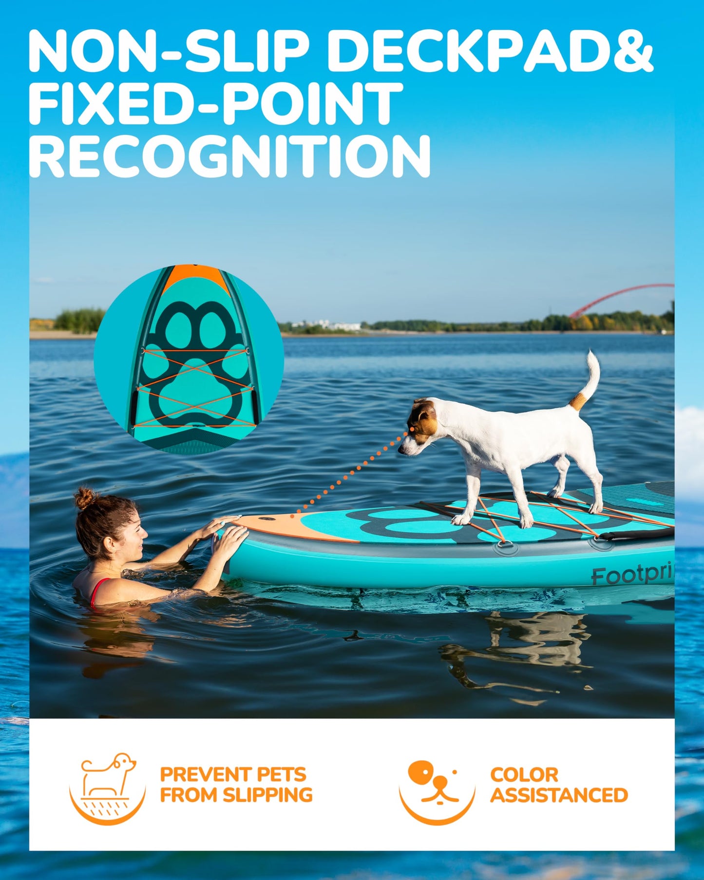 BIGFLY 11'6"x35"x6" Inflatable Stand Up Paddle Boards, Widened SUP Board for Pet Dog Family Board Independently Scratch Resistant Pet pad, Travel Leisure w/Camera Mount