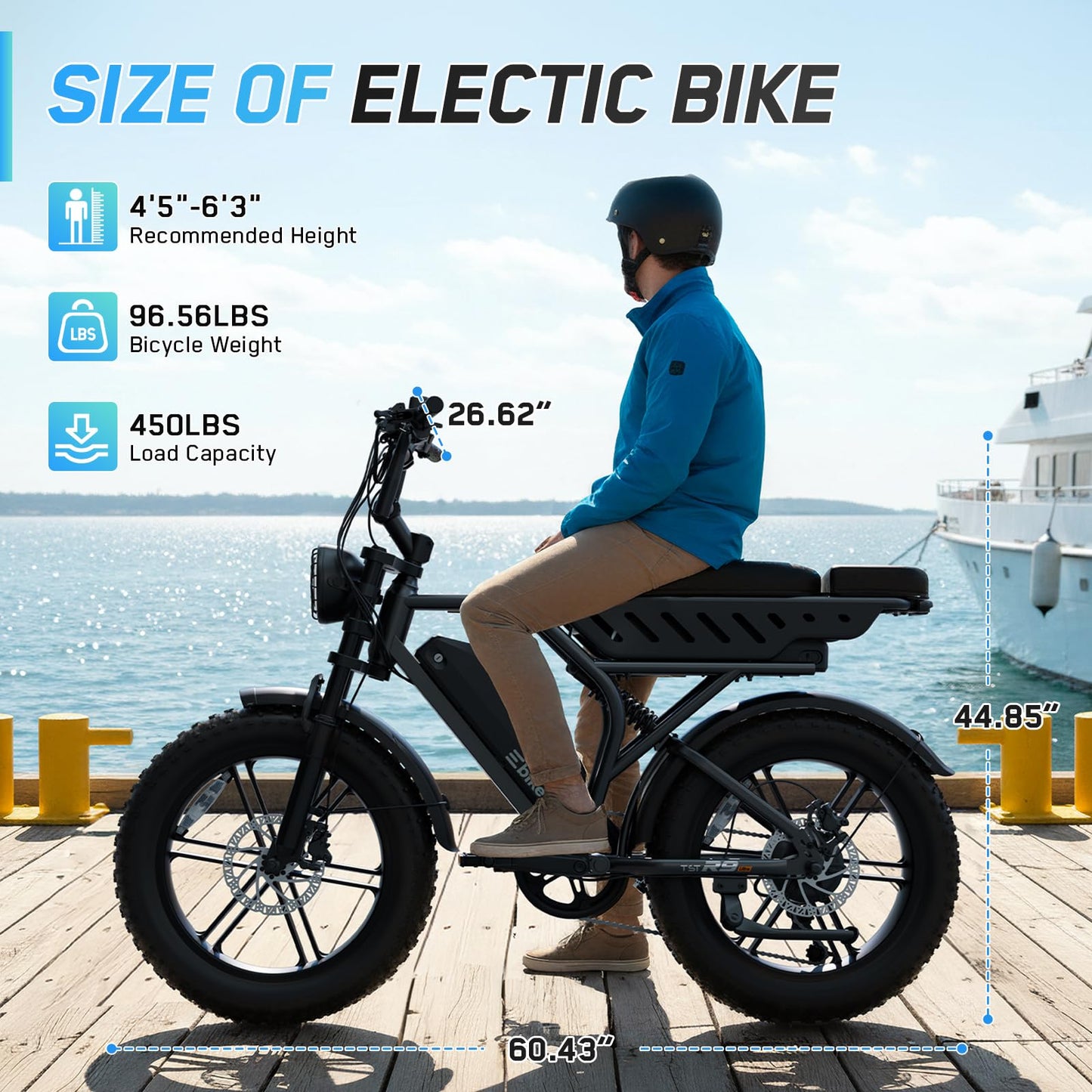 TS TST GRP LLC Electric Bike for Adults, 1500W Peak Motor Retro E Bike, Removable 48V 15Ah Battery, 20" x4.0 Fat Tire, 65Miles Range, Ebike with Suspension,for Commuting,Mountain,Off-Road, Black
