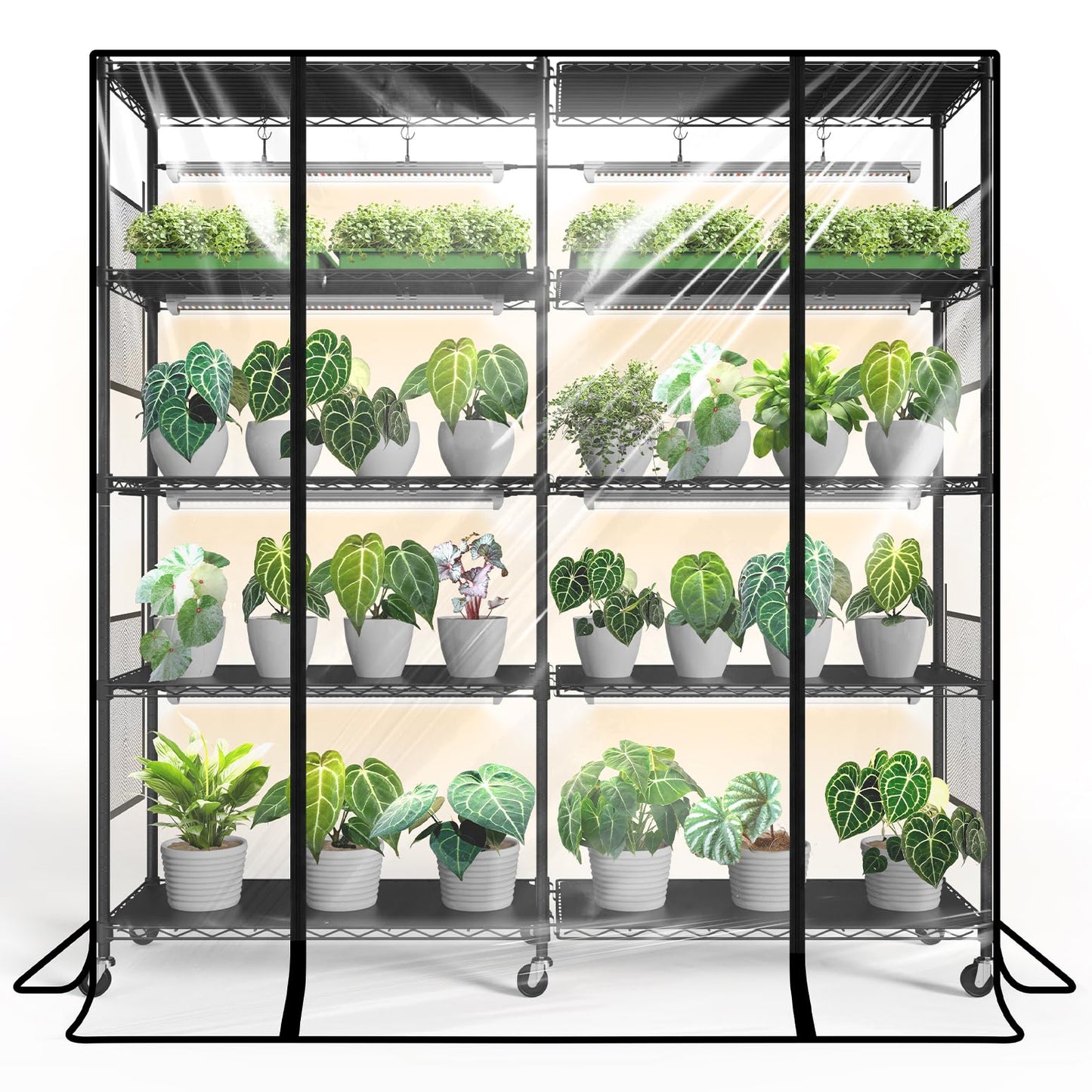 Bstrip Indoor Greenhouse with Grow Light, Large Plant Shelf with 8 Pack T8 Full Spectrum Plant Lights and Cover, mini Greenhouse for Indoor Plant, Seed Starting (58" L x 13.8" W x 59" H)