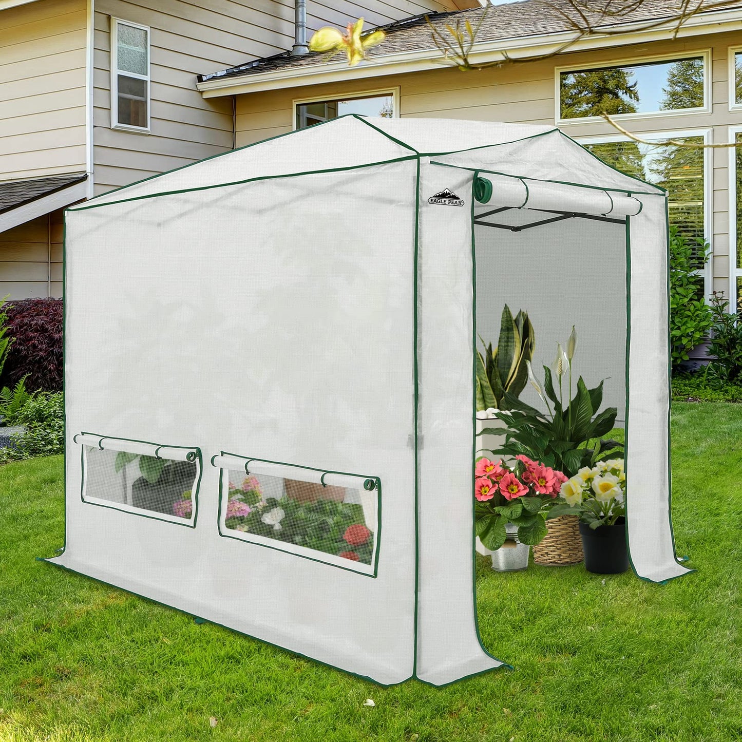 EAGLE PEAK 8x6 Portable Walk in Greenhouse, Pop Up Indoor Outdoor Greenhouse, Green House Kit with Zippered Roll-Up Doors and Windows, Woven Cover, Translucent