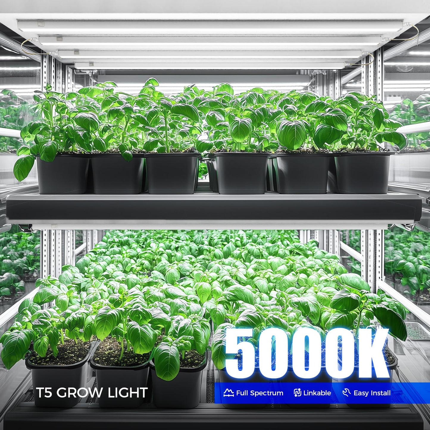 Barrina T5 Grow Lights, 4FT 160W Full Spectrum, Linkable, 5000K, 8 Packs, White Cover, Model ML20